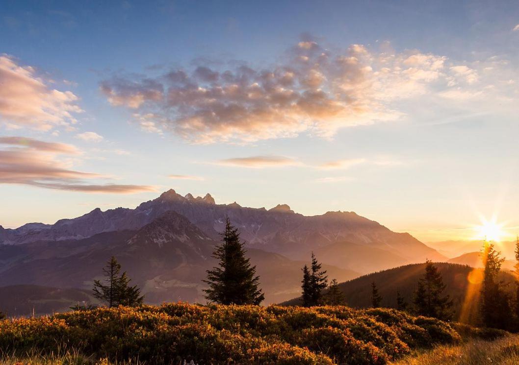 Mittersteghof,