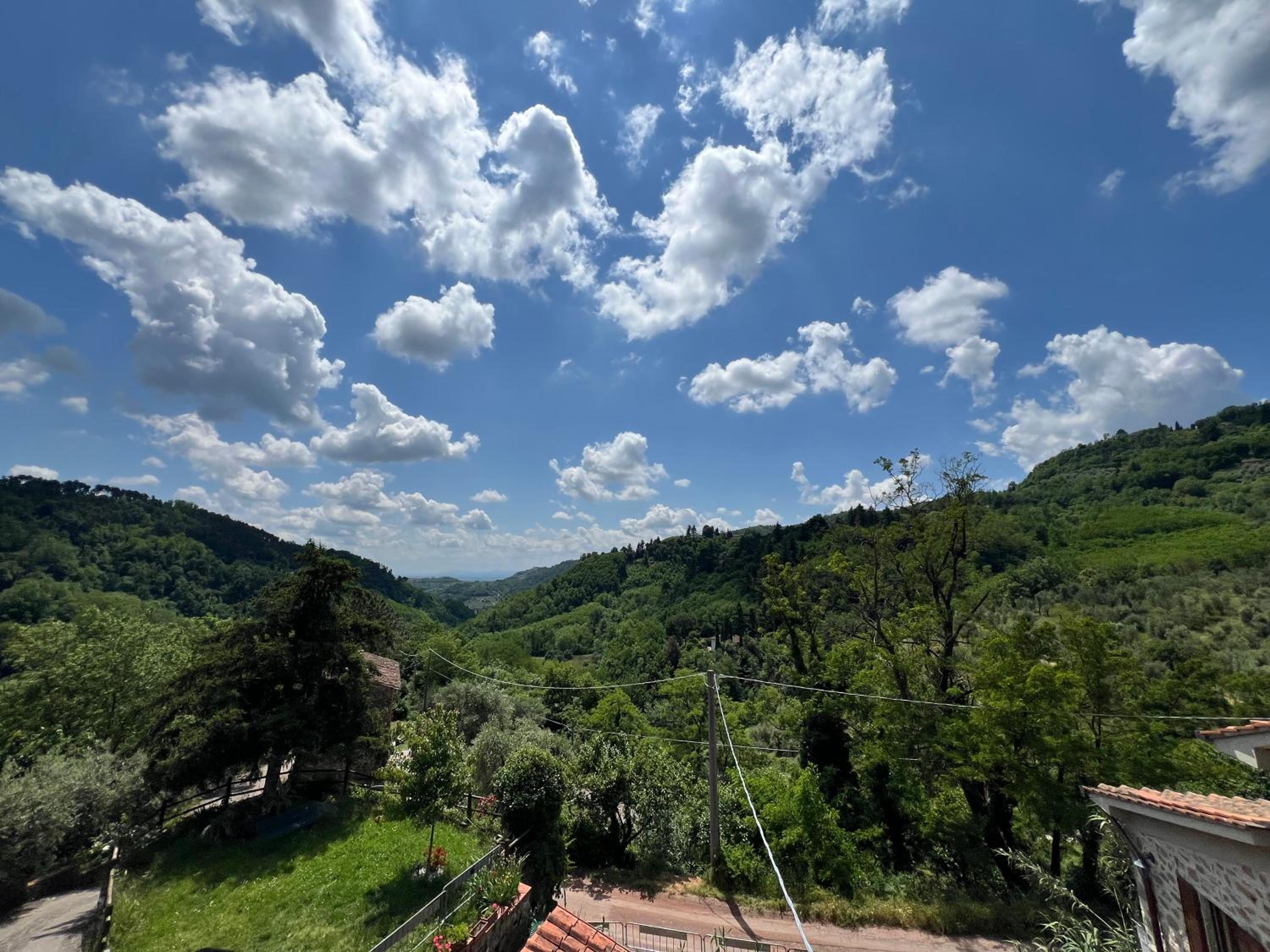 Rosa Selvatica by Holiday World view 2
