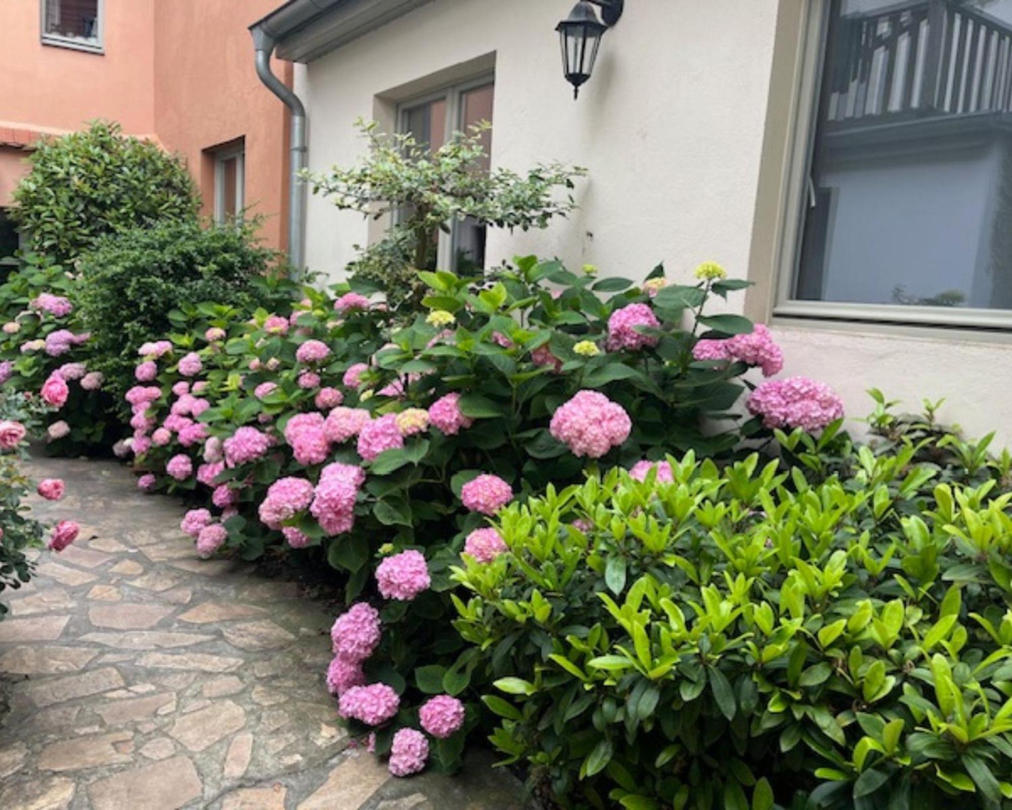 Altstadt-Quartier