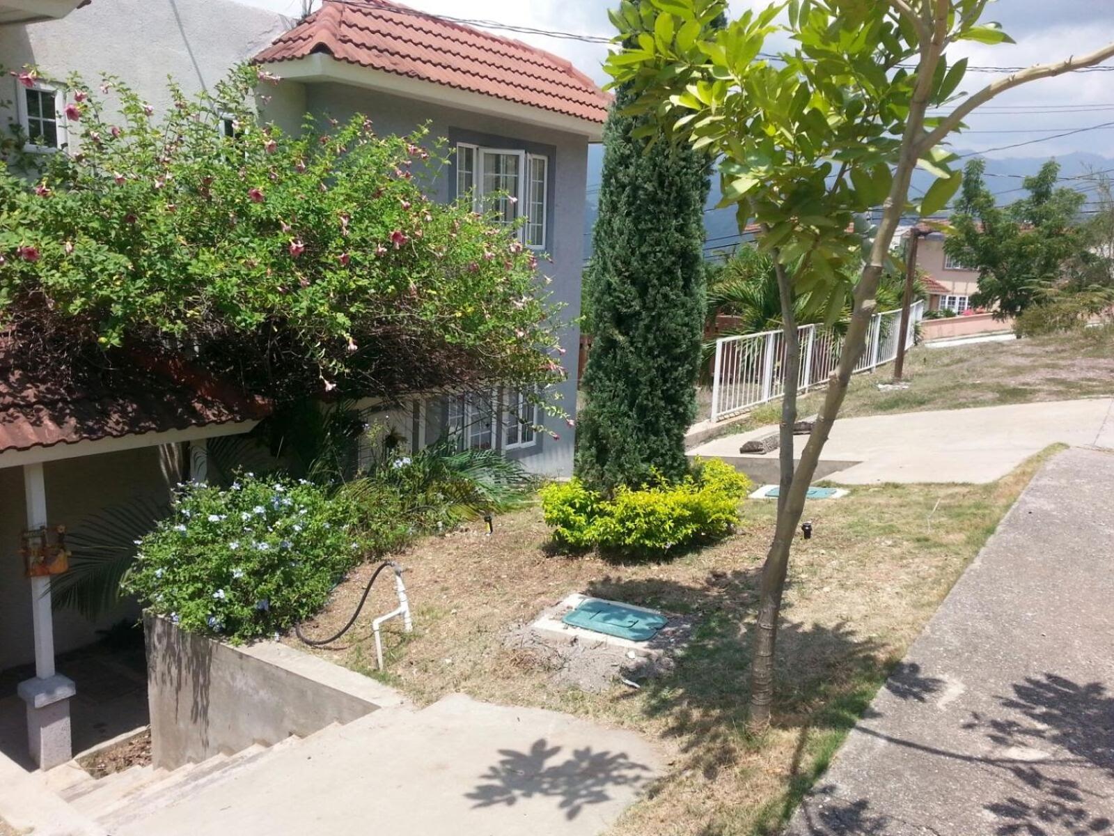 Photo 46