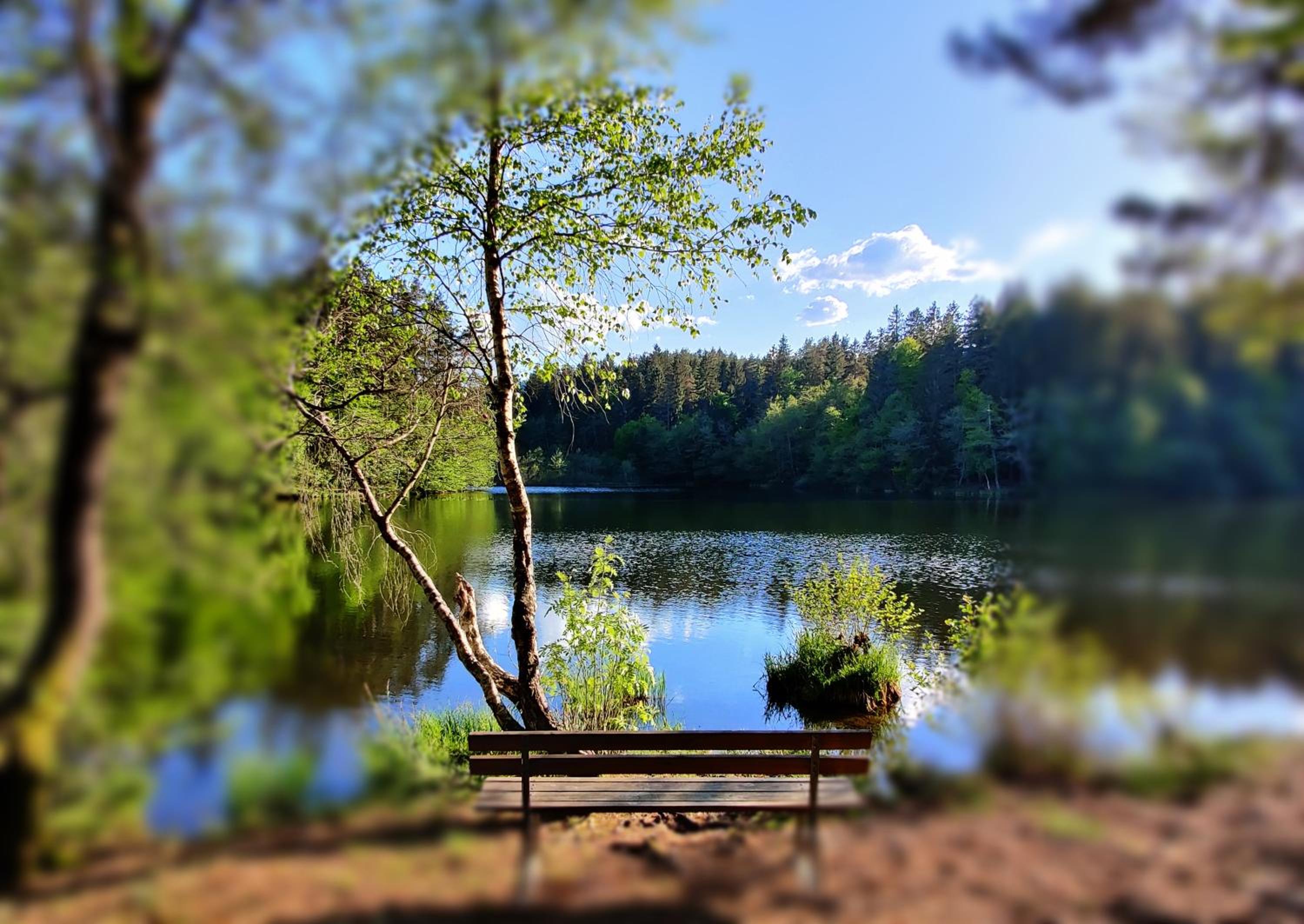 Wellness- HotTub & Sauna- Pet Friendly- Hiking