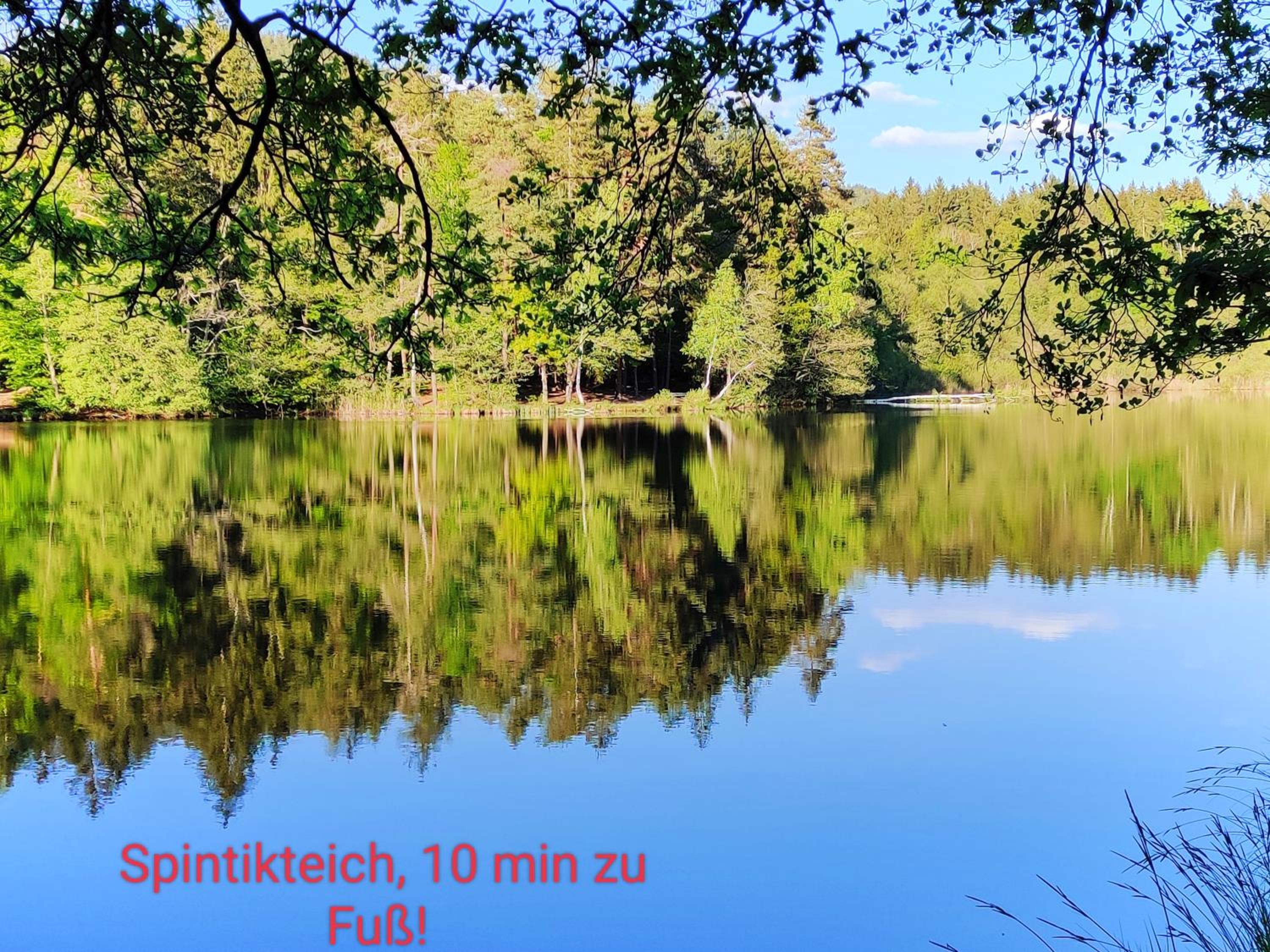 Wellness- HotTub & Sauna- Pet Friendly- Hiking
