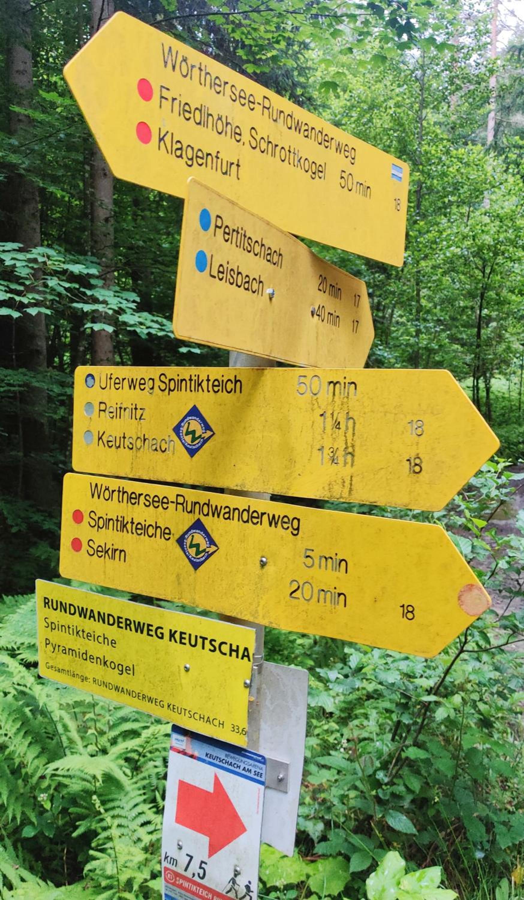 Wellness- HotTub & Sauna- Pet Friendly- Hiking