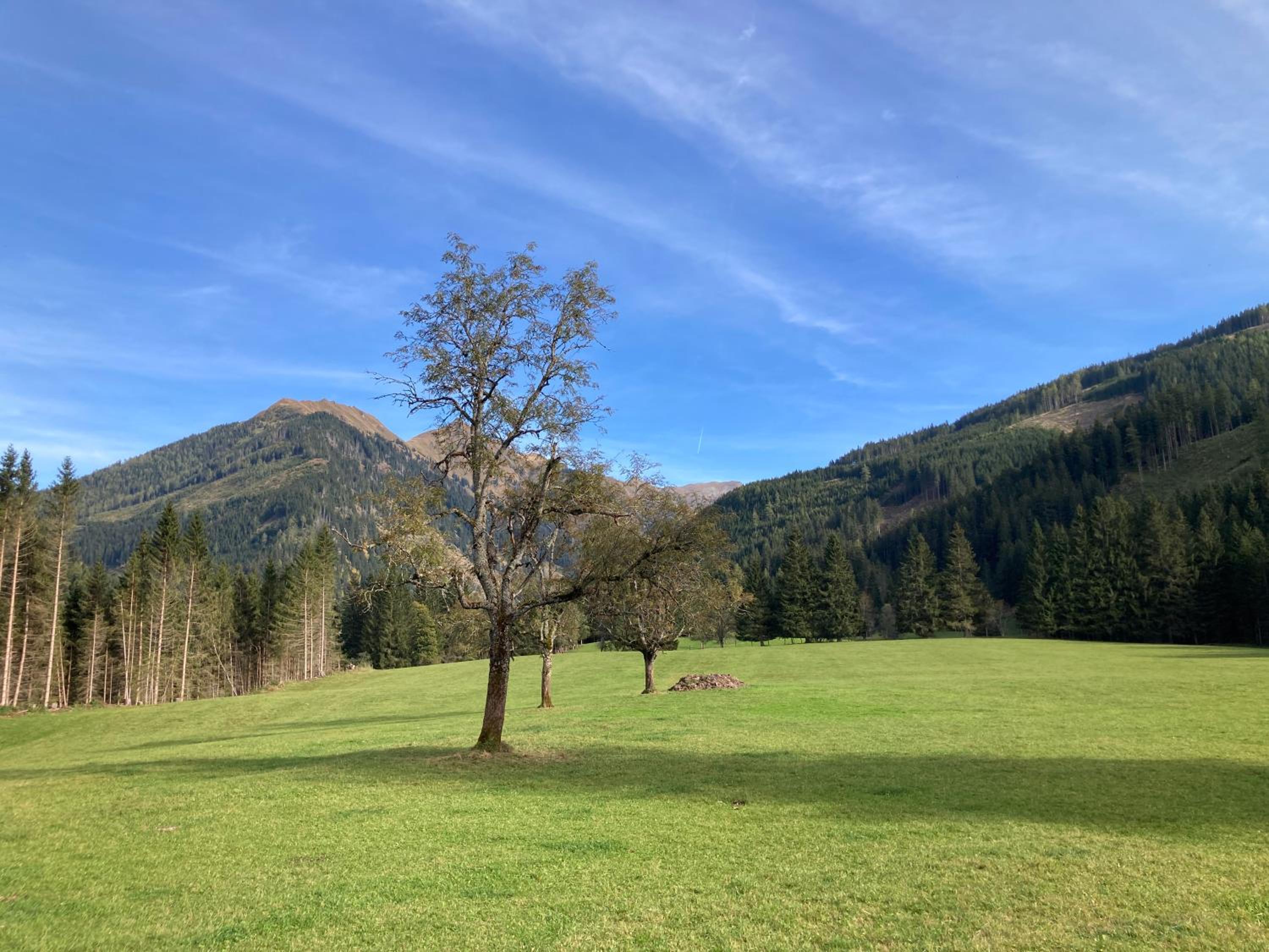 Schaffergut Appartements