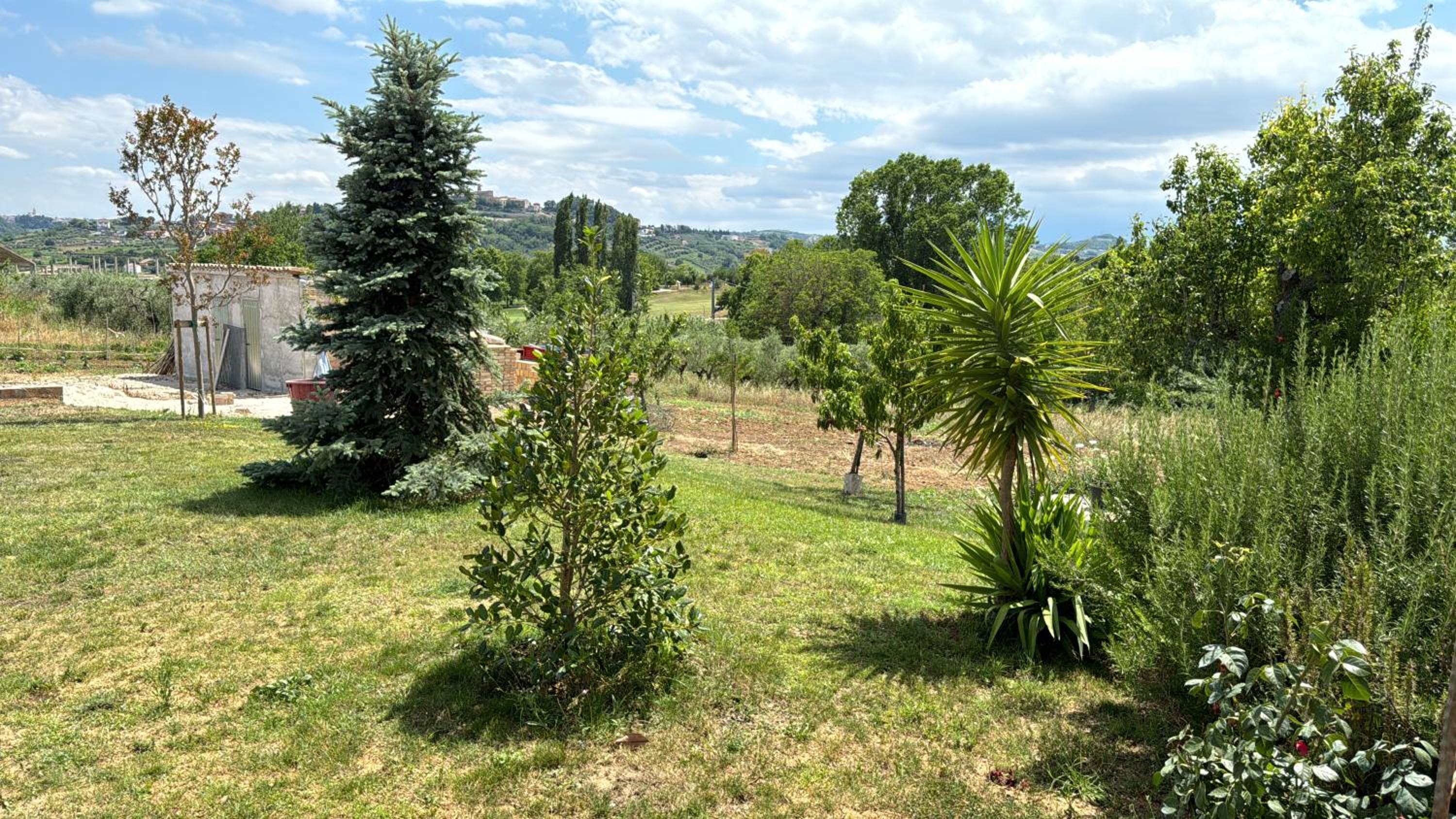 Casa Vacanze Cerreto 1 view 5
