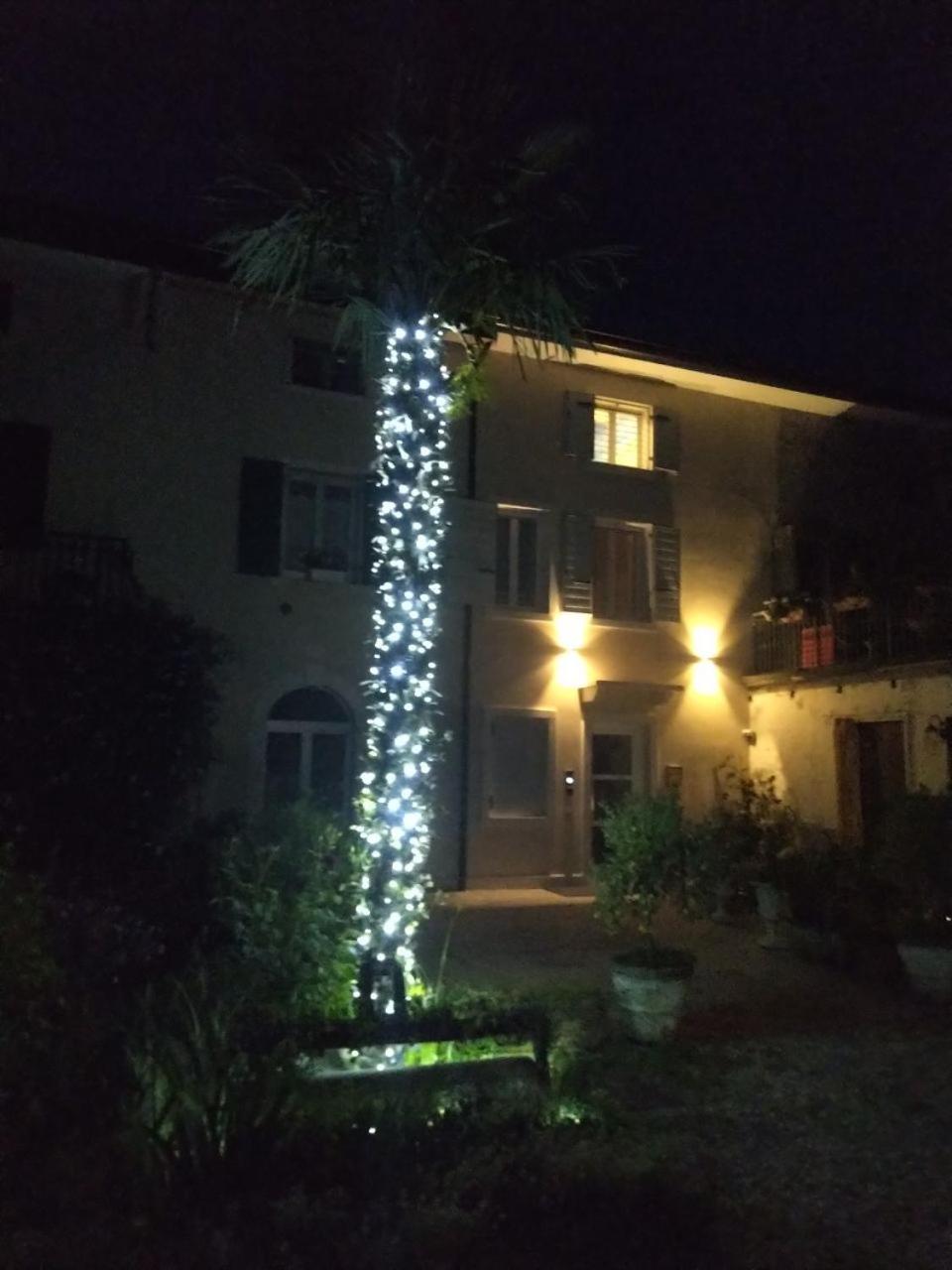 Photo 41