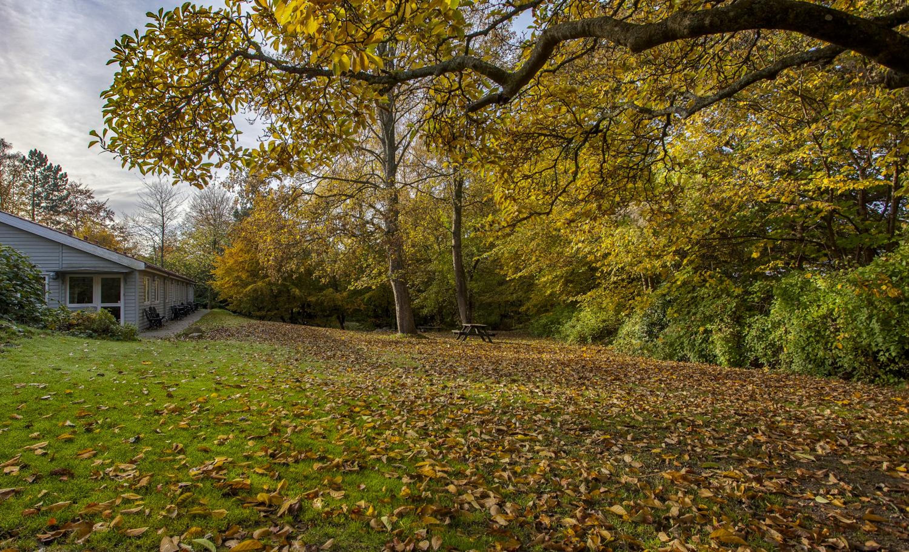 Fredensborg Vandrerhjem, i Kongens baghave