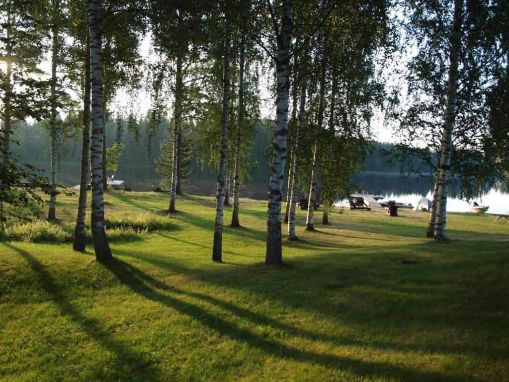 Photo 39