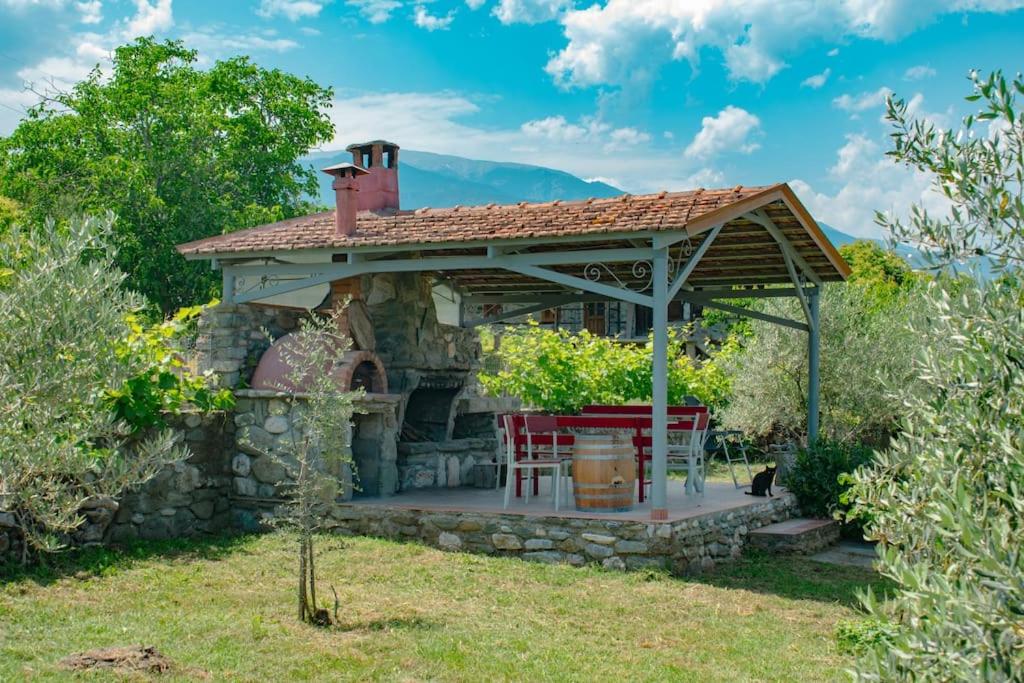 Zeusplace Skotina Country House