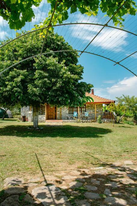 Zeusplace Skotina Country House