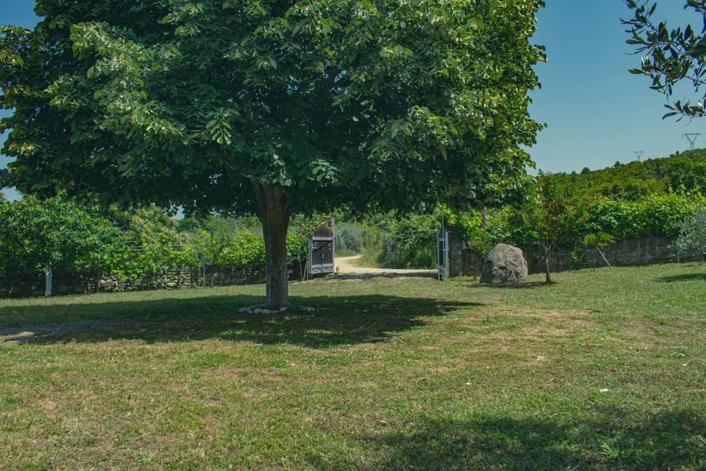 Zeusplace Skotina Country House