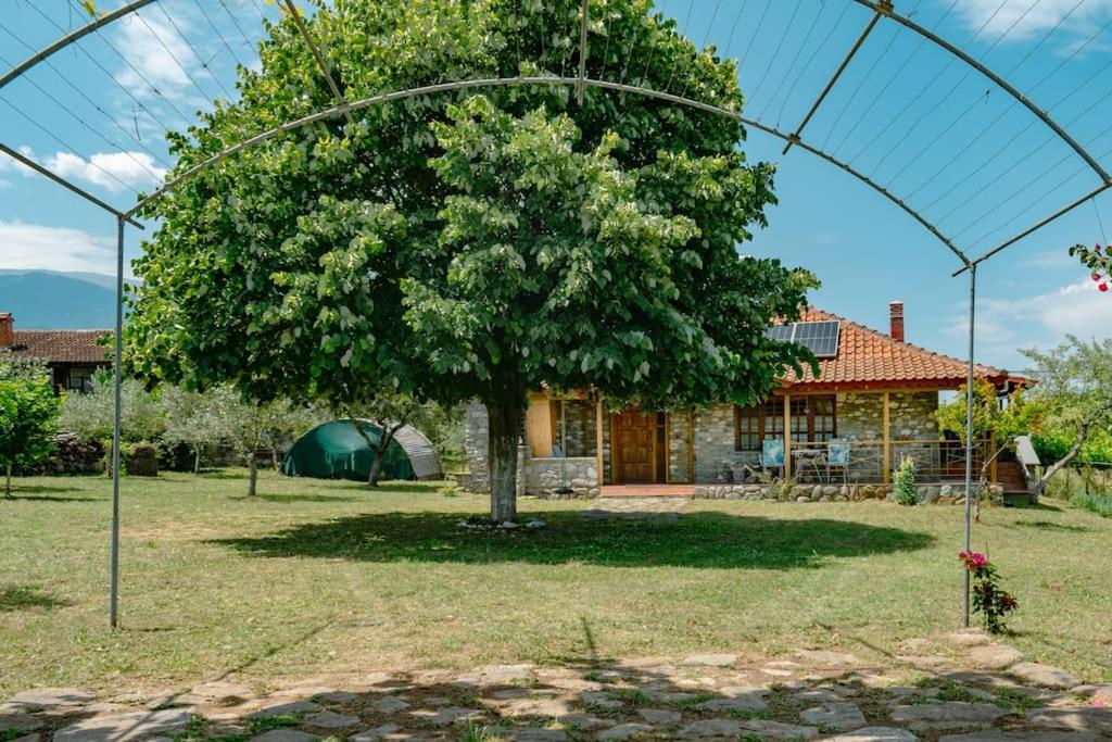 Zeusplace Skotina Country House