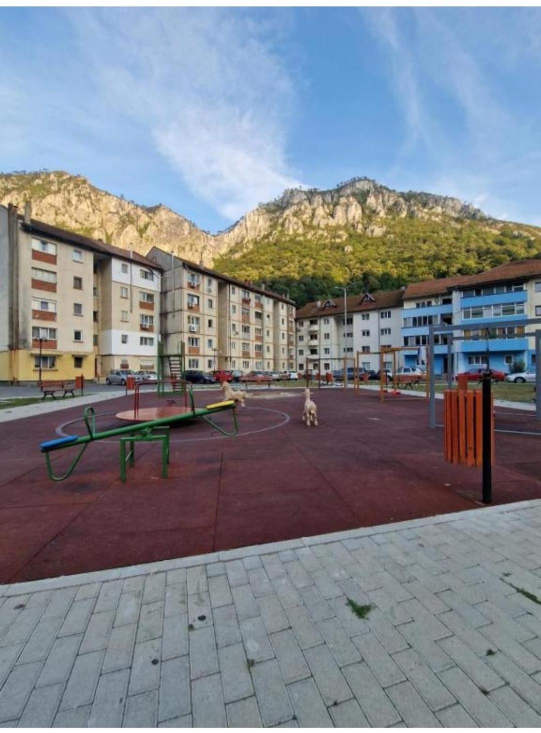Apartament Cosmi Ari
