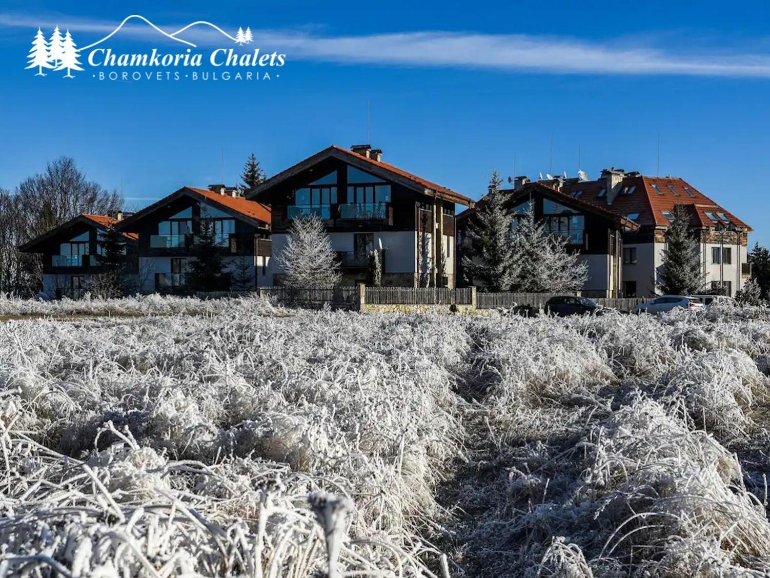Chamkoria Chalets 409