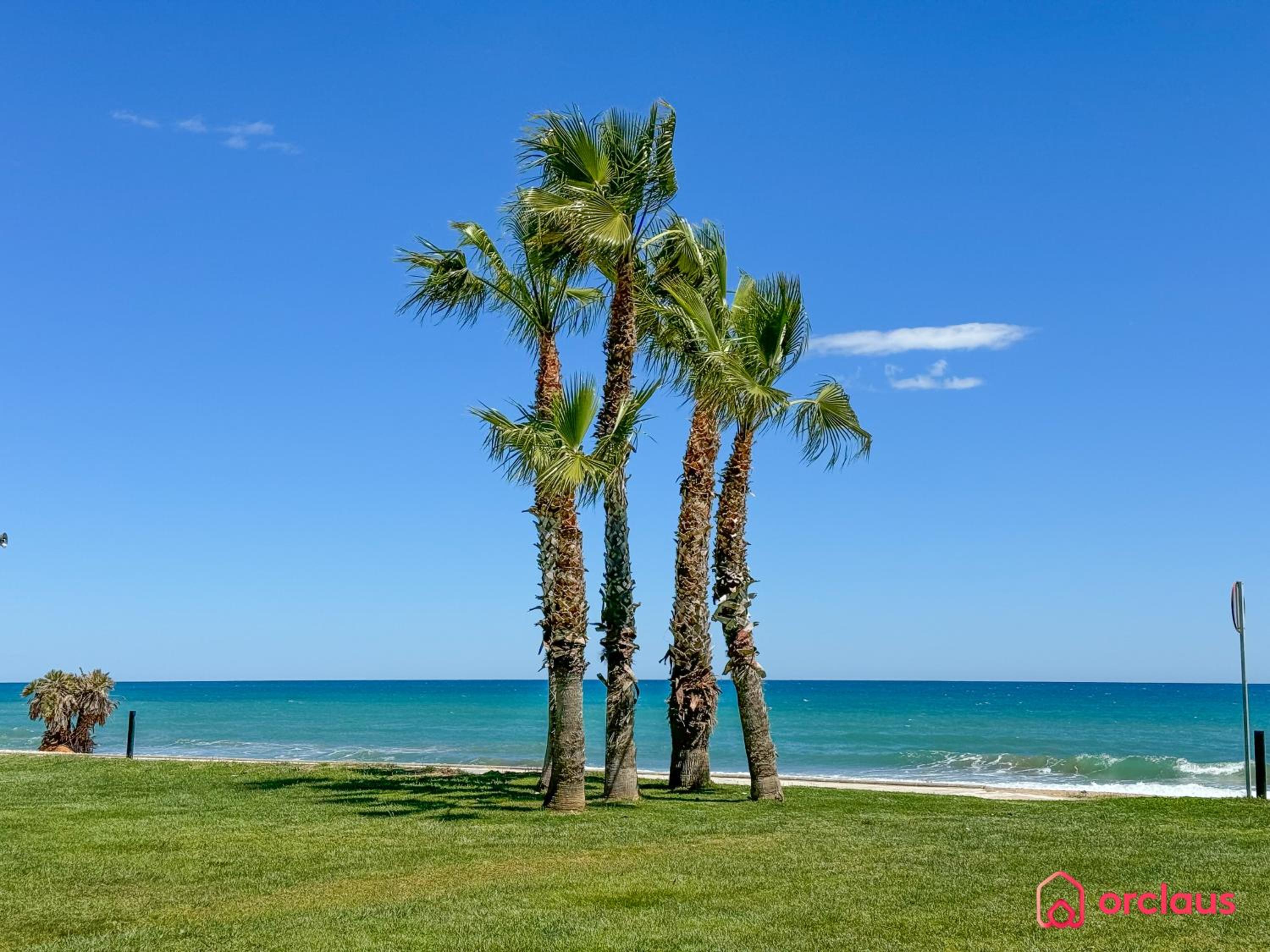 Aires Mediterráneos