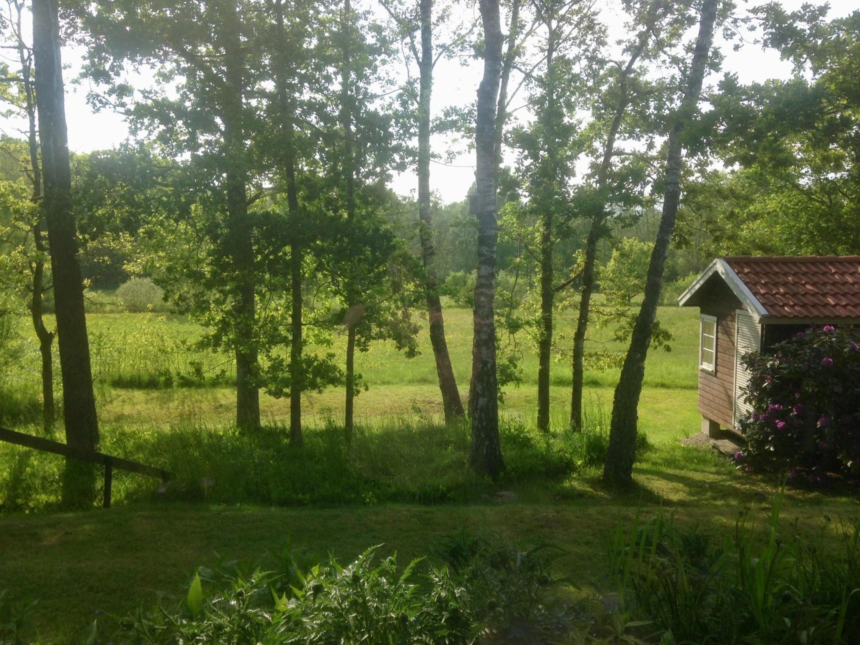 Rymligt boende i en fantastisk villa! Bo helt PRIVAT som enda gäster och boende! Nära NATUREN, lokala bekvämligheter och lätt att resa till med bil, buss e view 3
