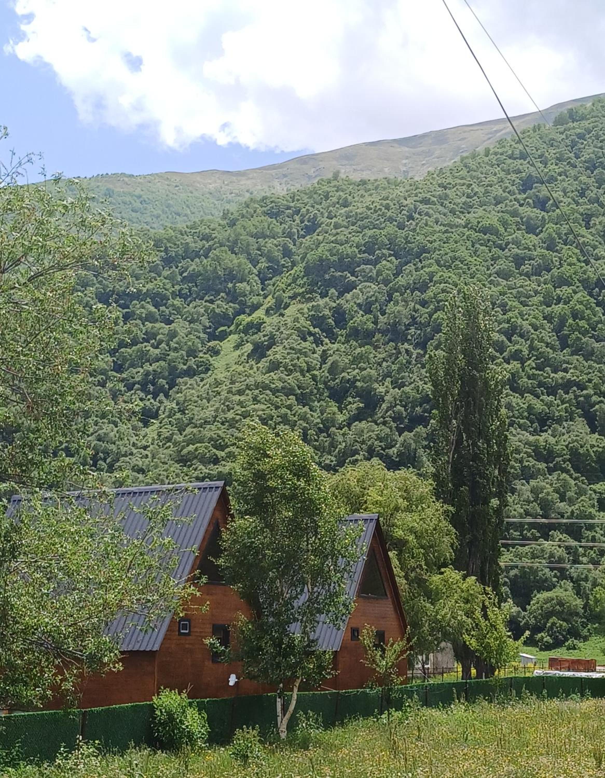 Photo 25