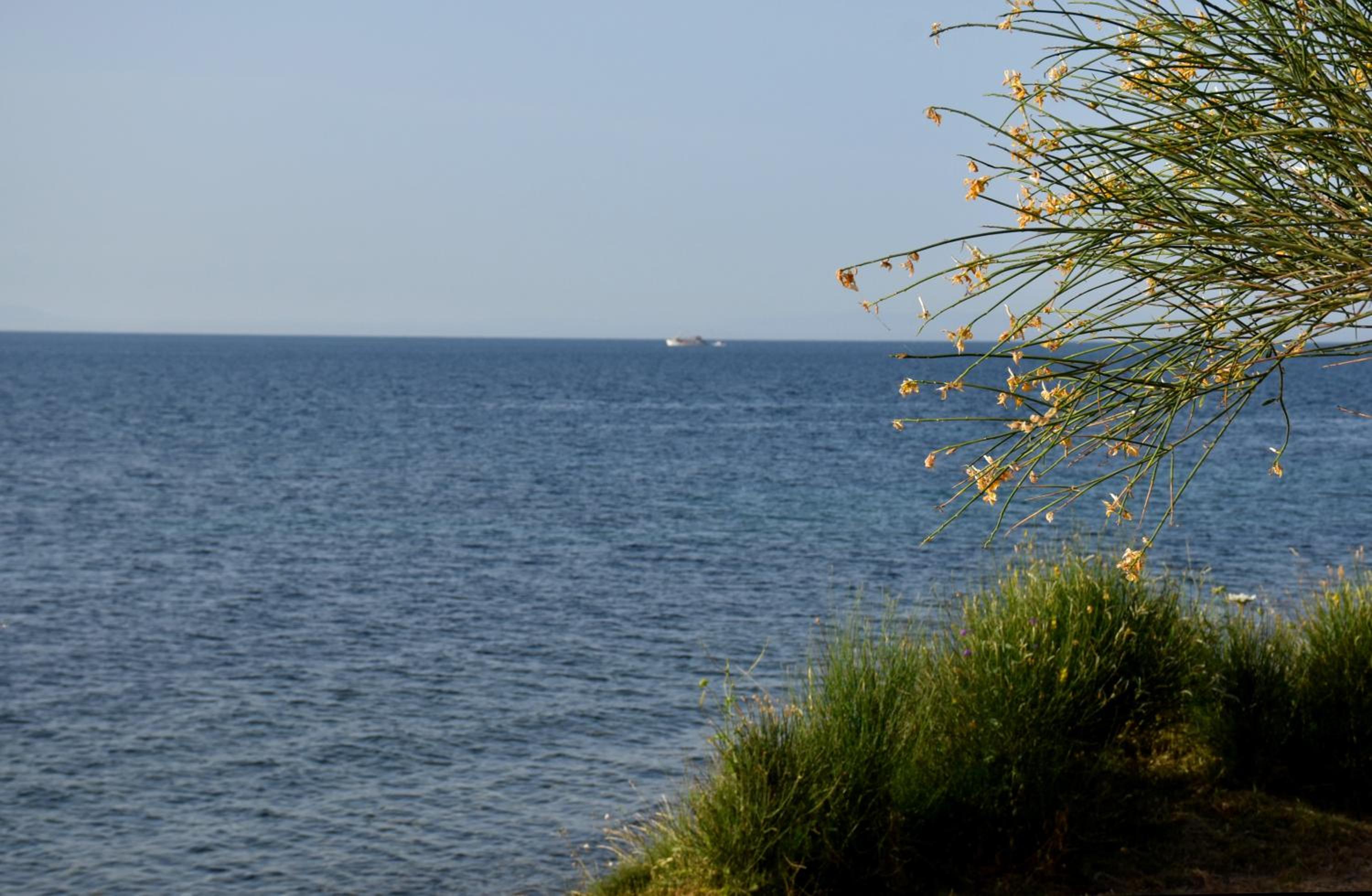 Photo 44