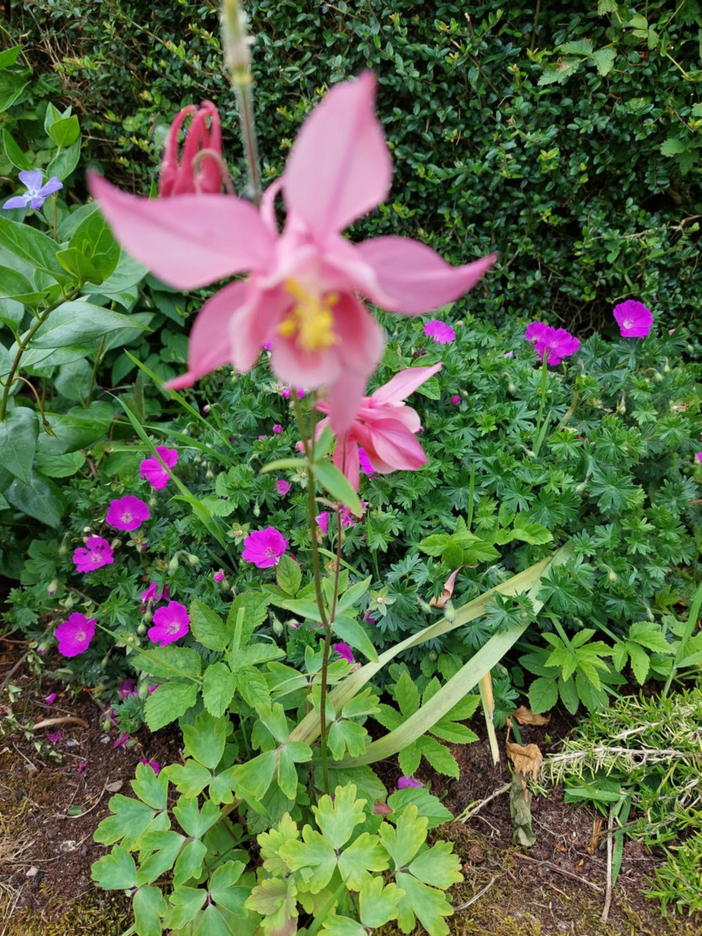 Photo 48
