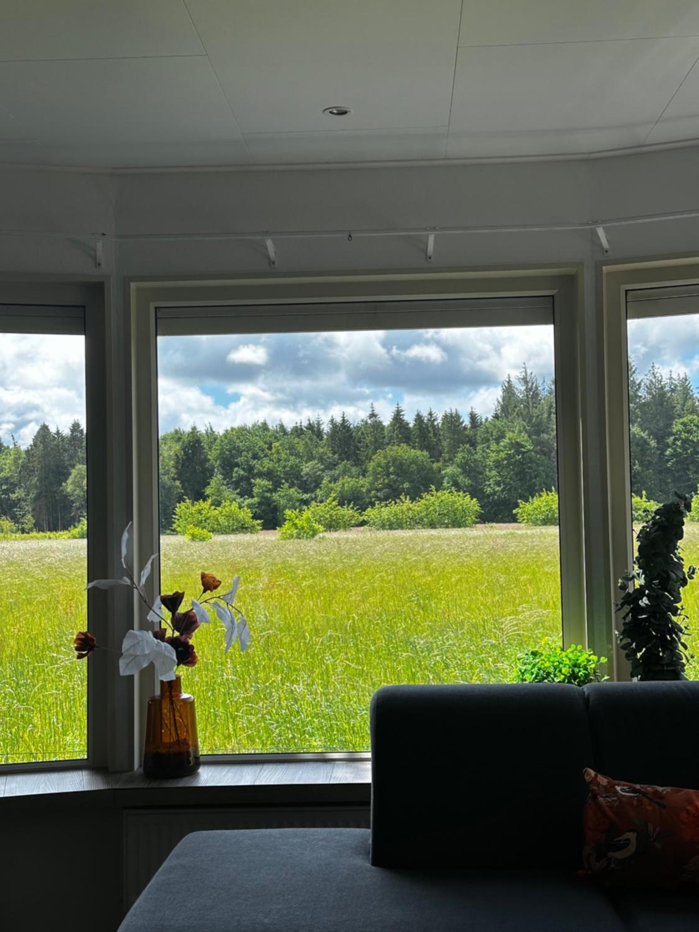 Luxe chalet met uniek vrij uitzicht op rustig park in Papenvoort DRENTHE view 2