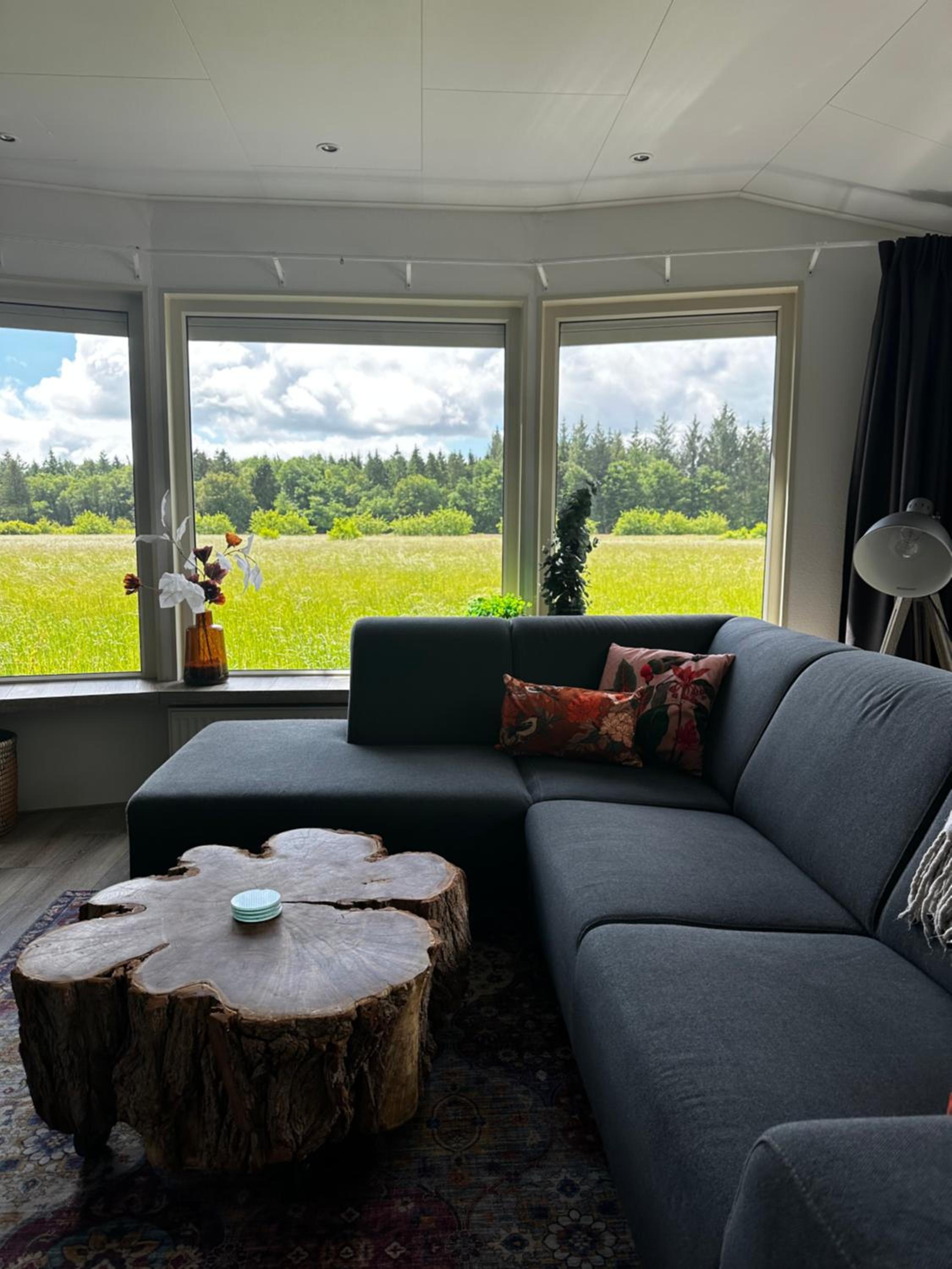 Luxe chalet met uniek vrij uitzicht op rustig park in Papenvoort DRENTHE view 3
