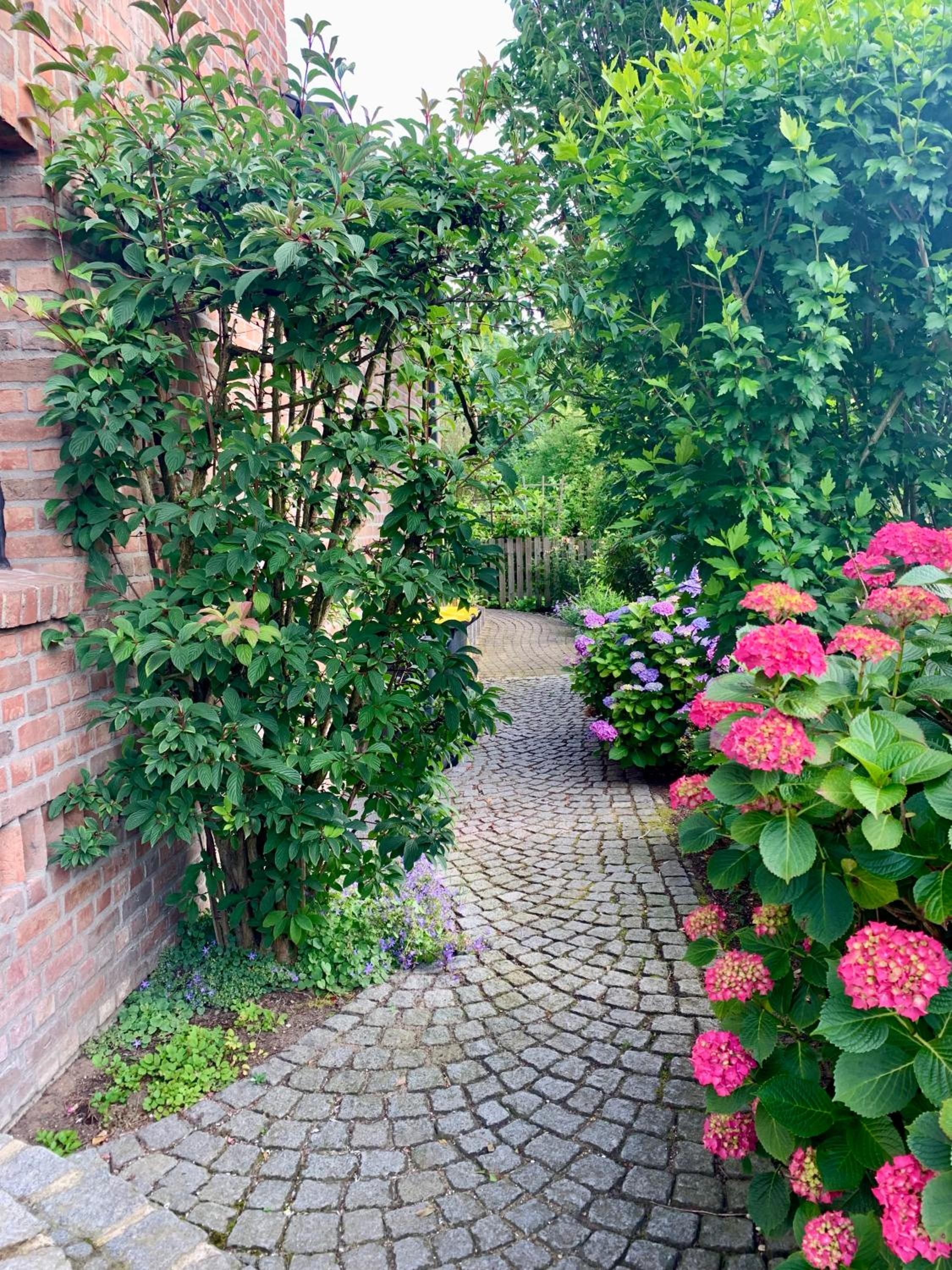 Reeser Schatzkästchen