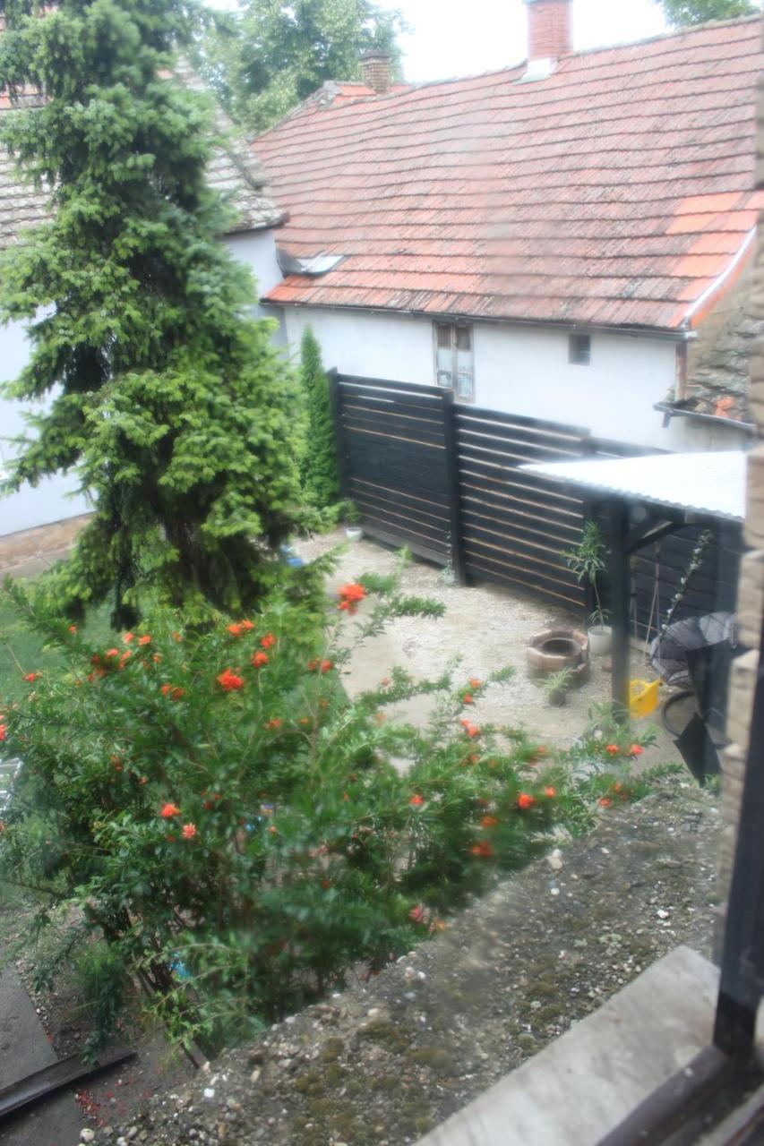 Photo 24