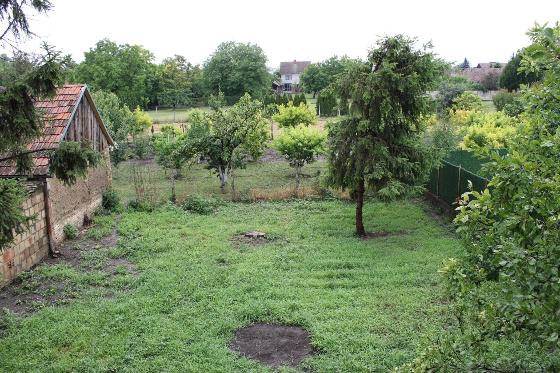 Photo 26
