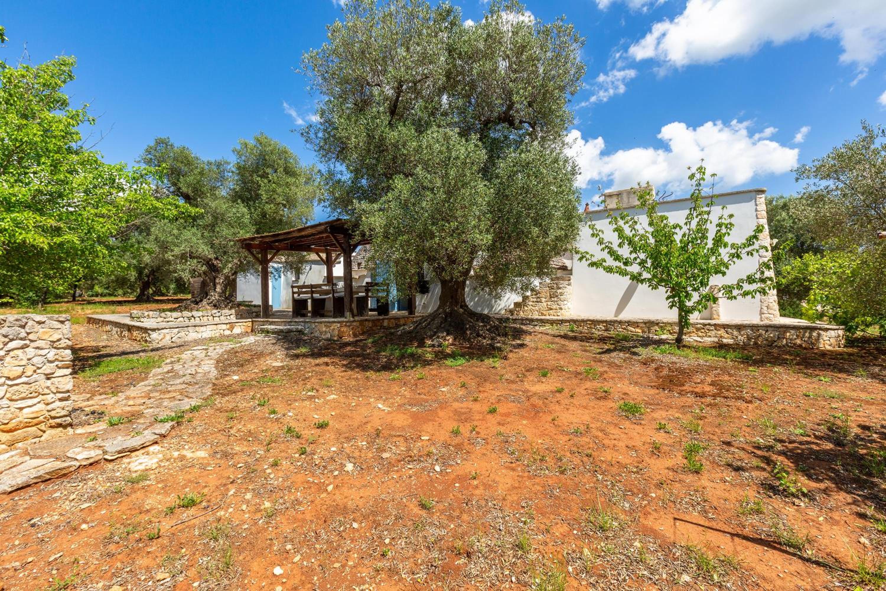 Tenuta I Trulli Rochira by BarbarHouse