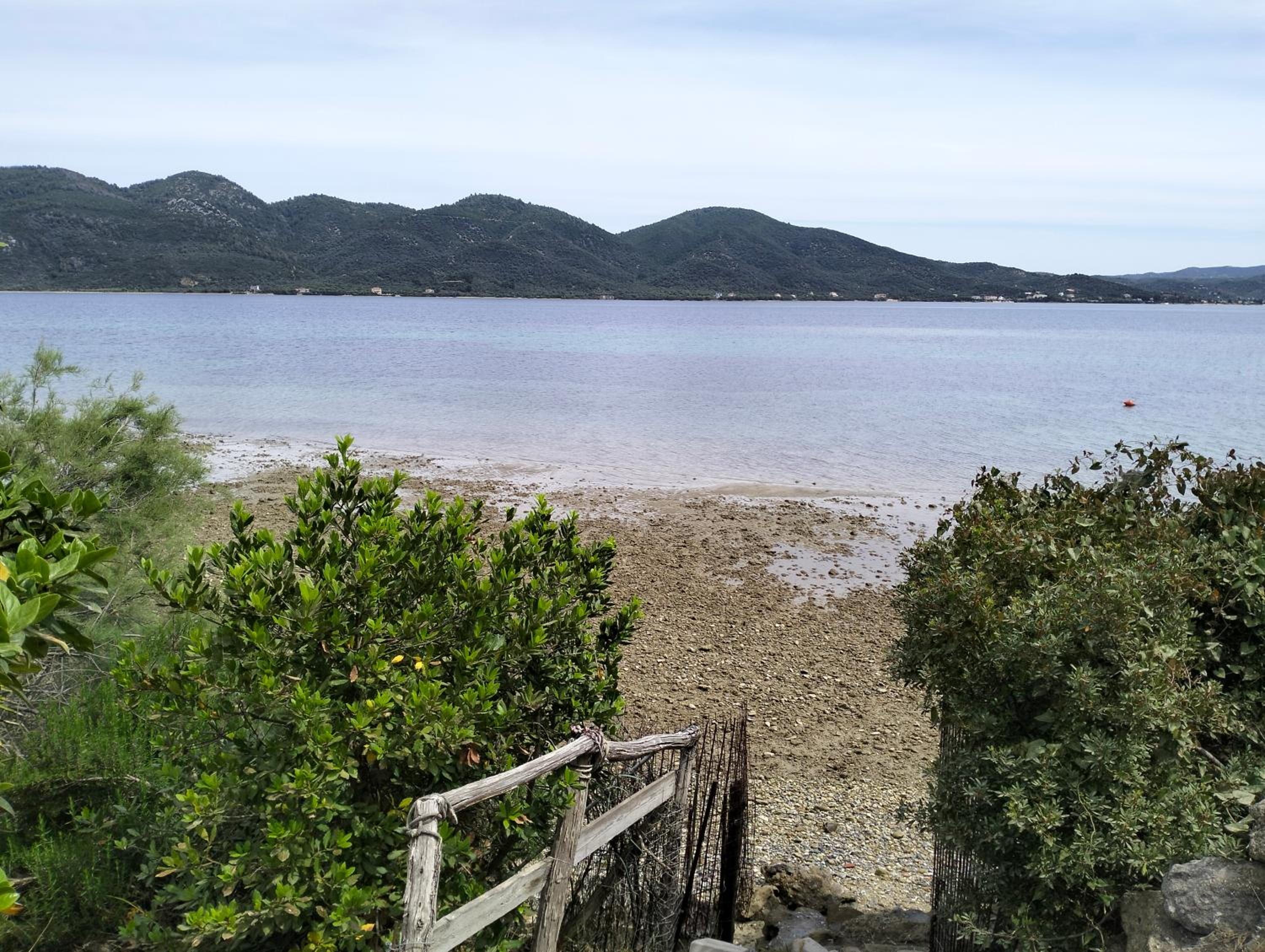 Greeksummer