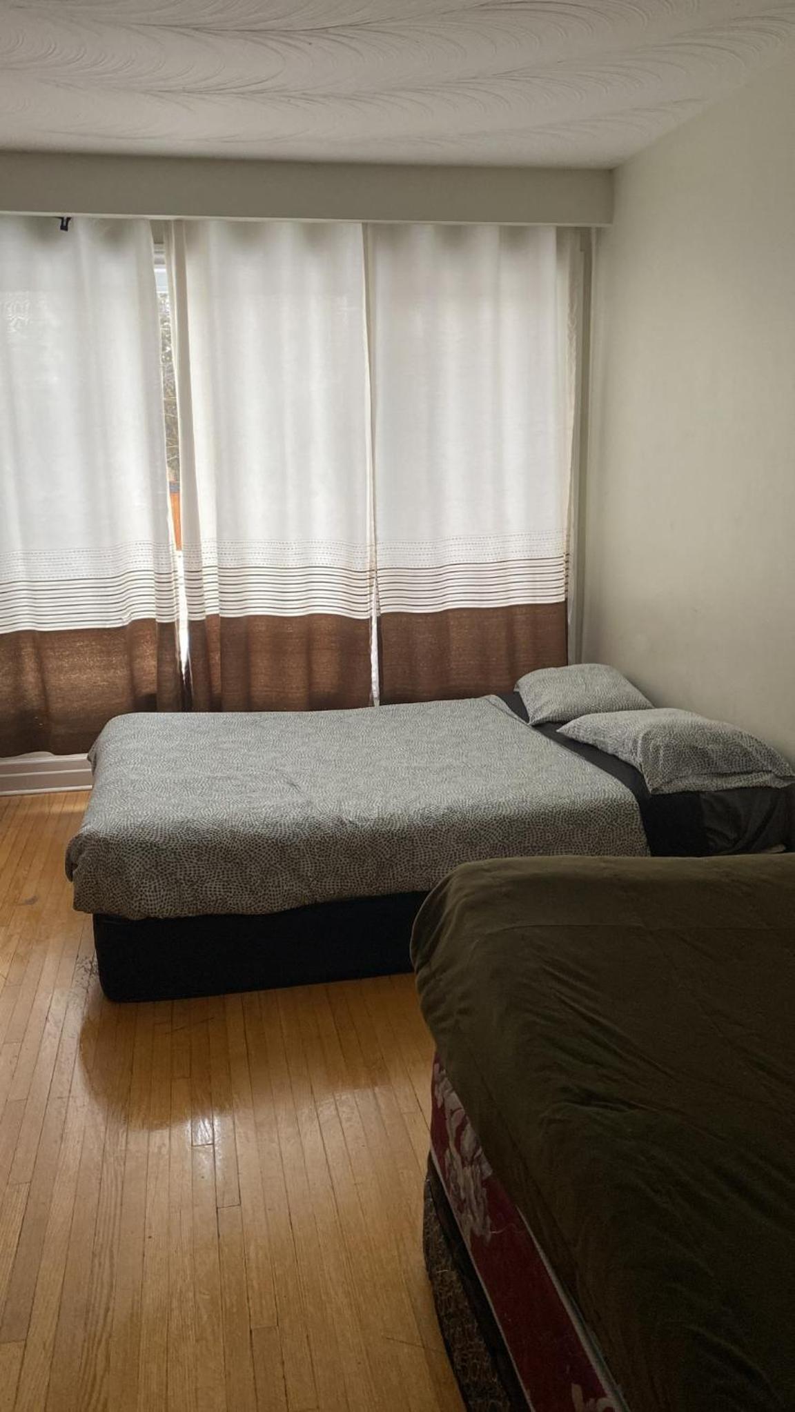 Private Rooms, Free Parking, Full Kitchen, Best Prices in Town- York University Heights