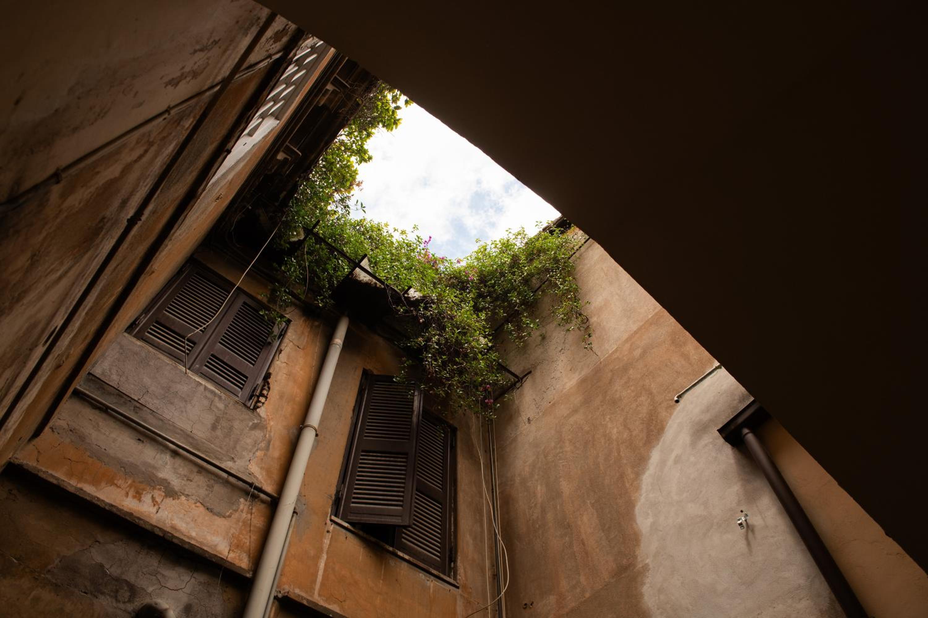 COLOSSEUM VIEW ACCOMODATION