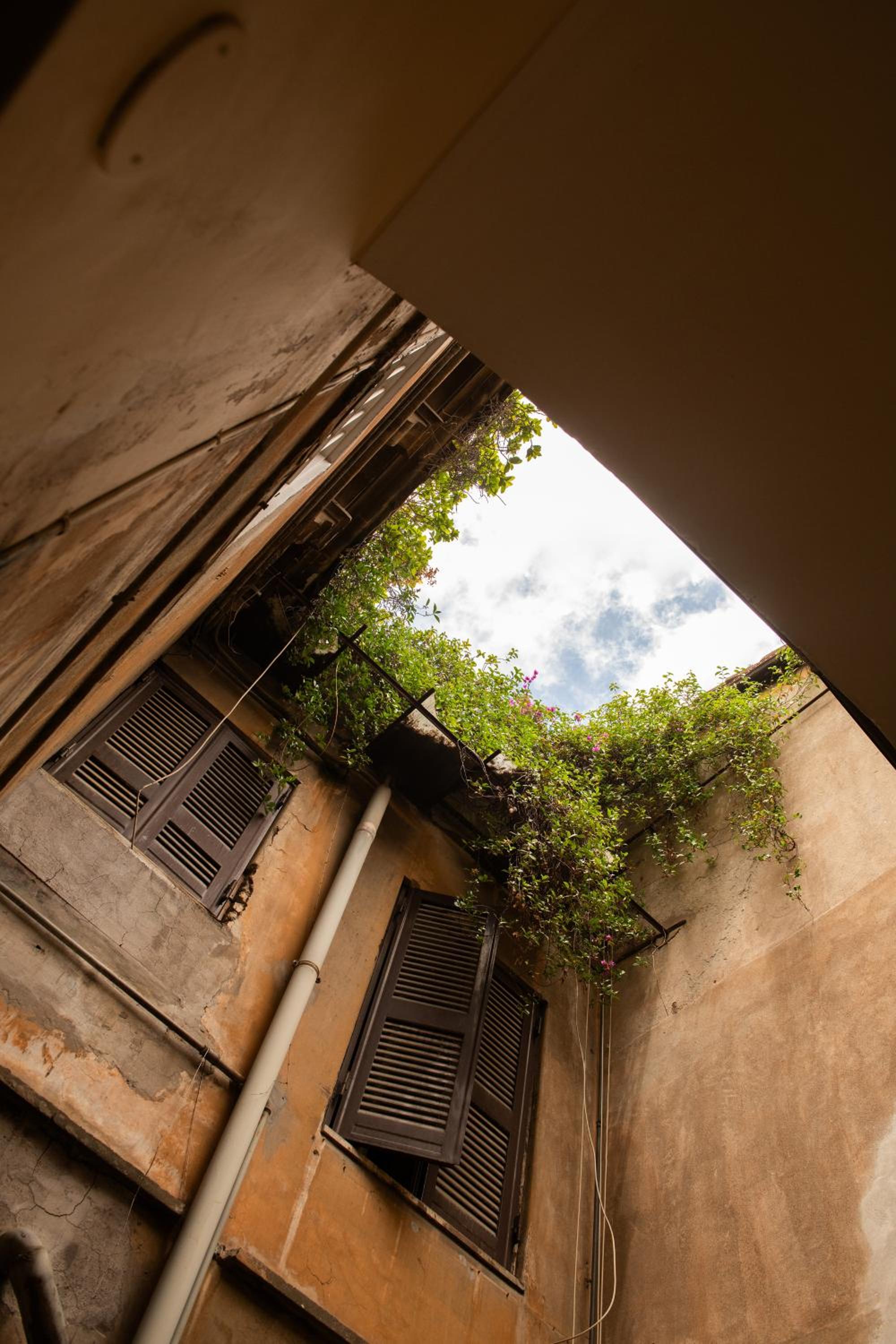 COLOSSEUM VIEW ACCOMODATION