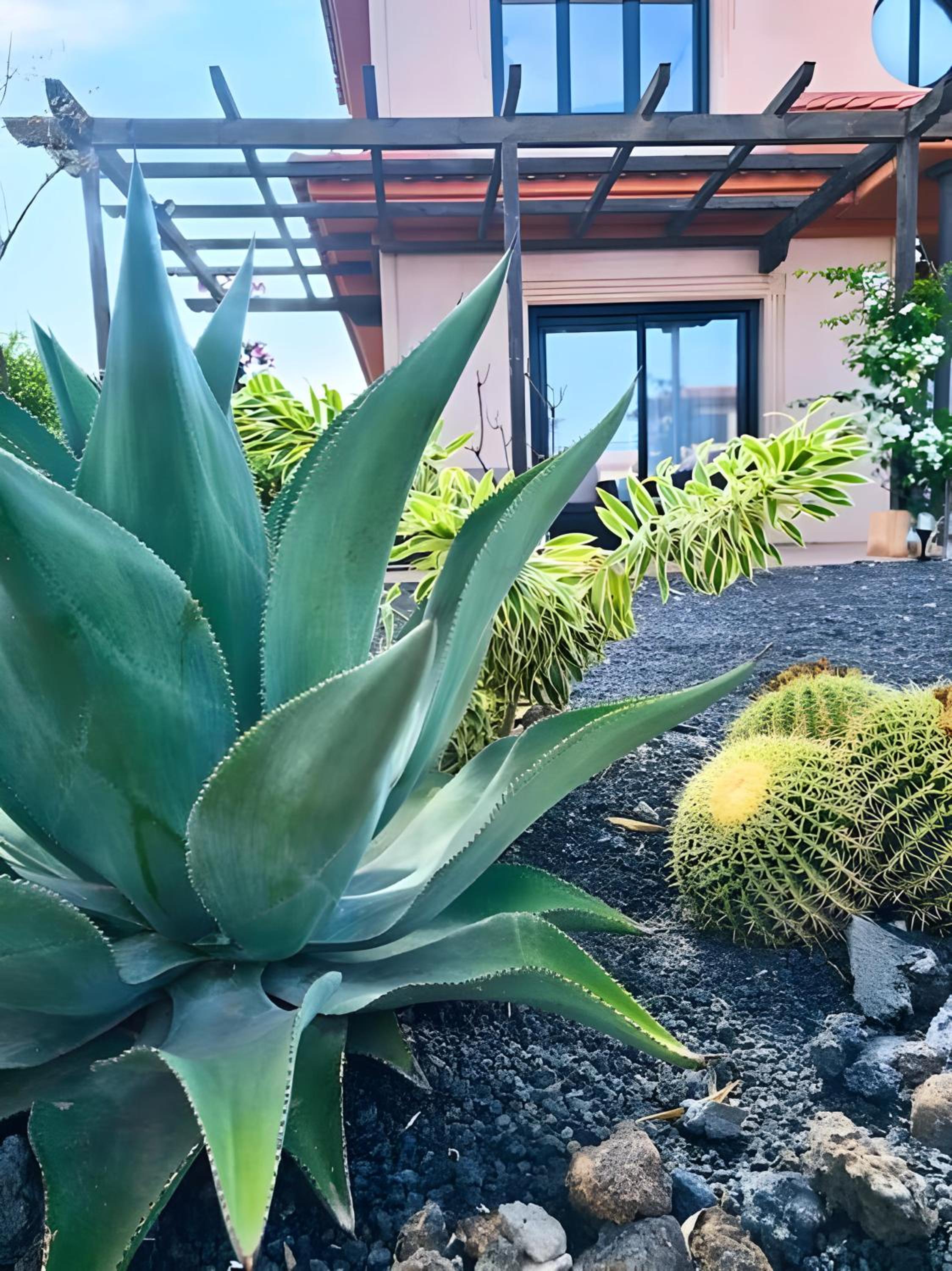 Casa Topik, Family and Surfhouse