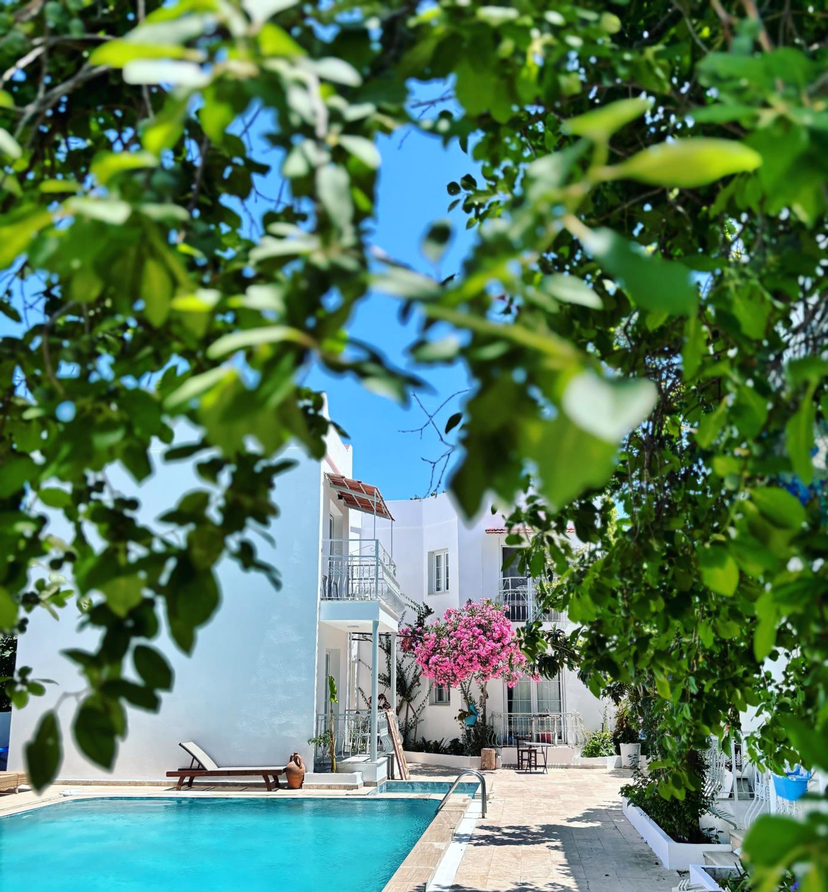 Bodrum Nuran Boutique Apart — photo 3