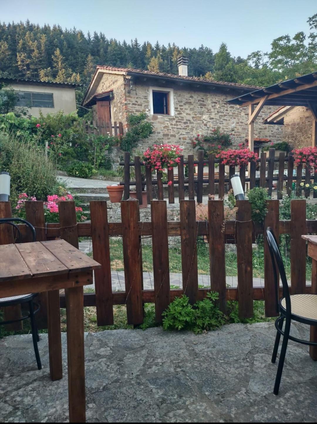 Fattoria di Cintoia view 3