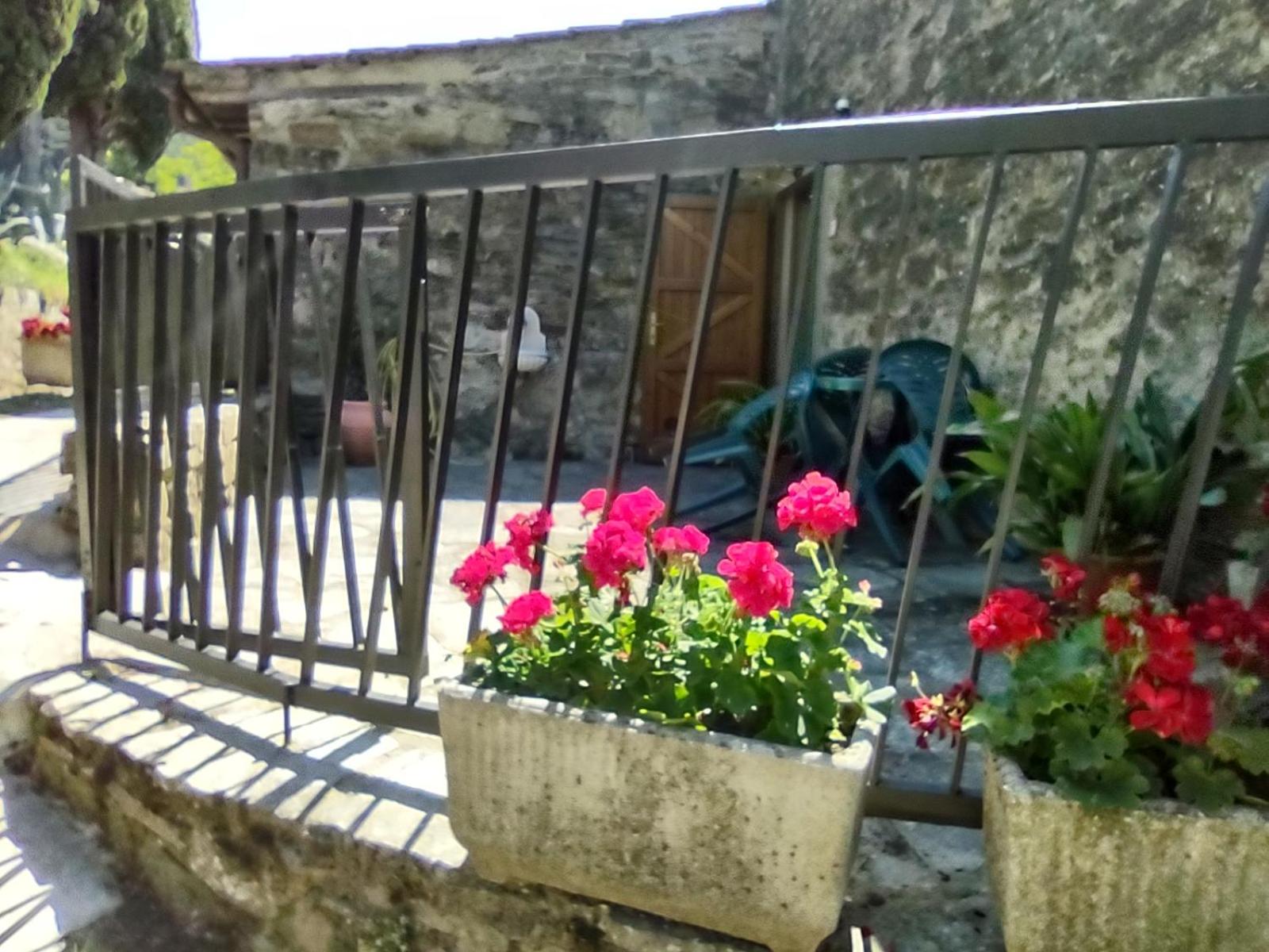 Fattoria di Cintoia view 2