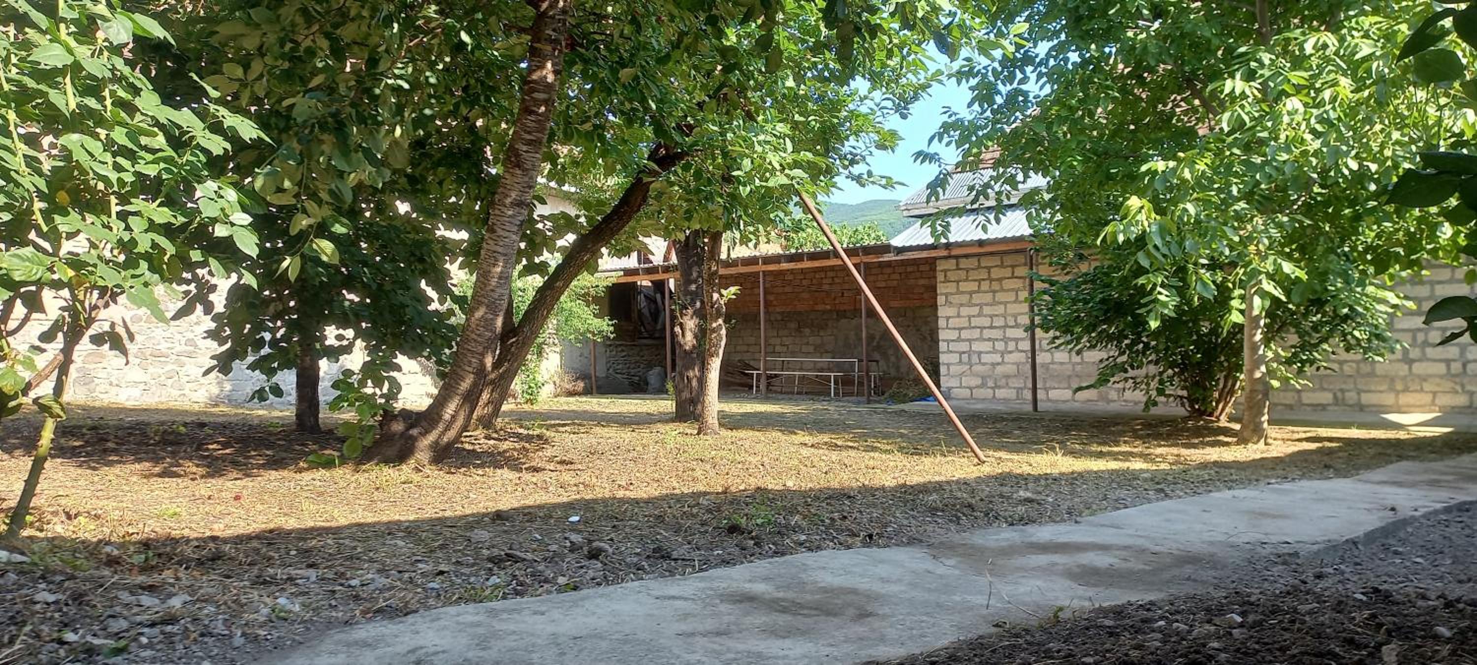 Rovshan's house