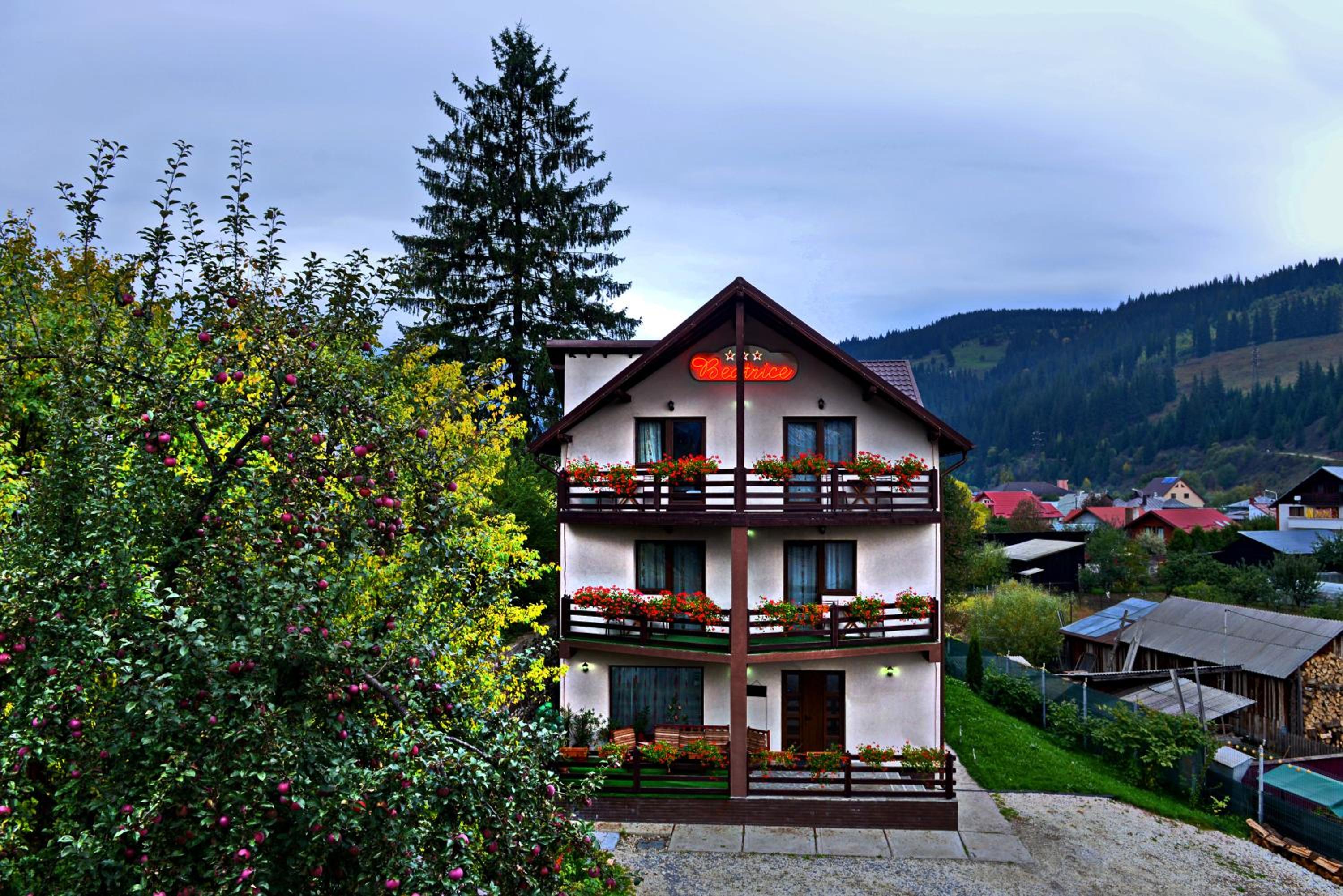 Photo 45