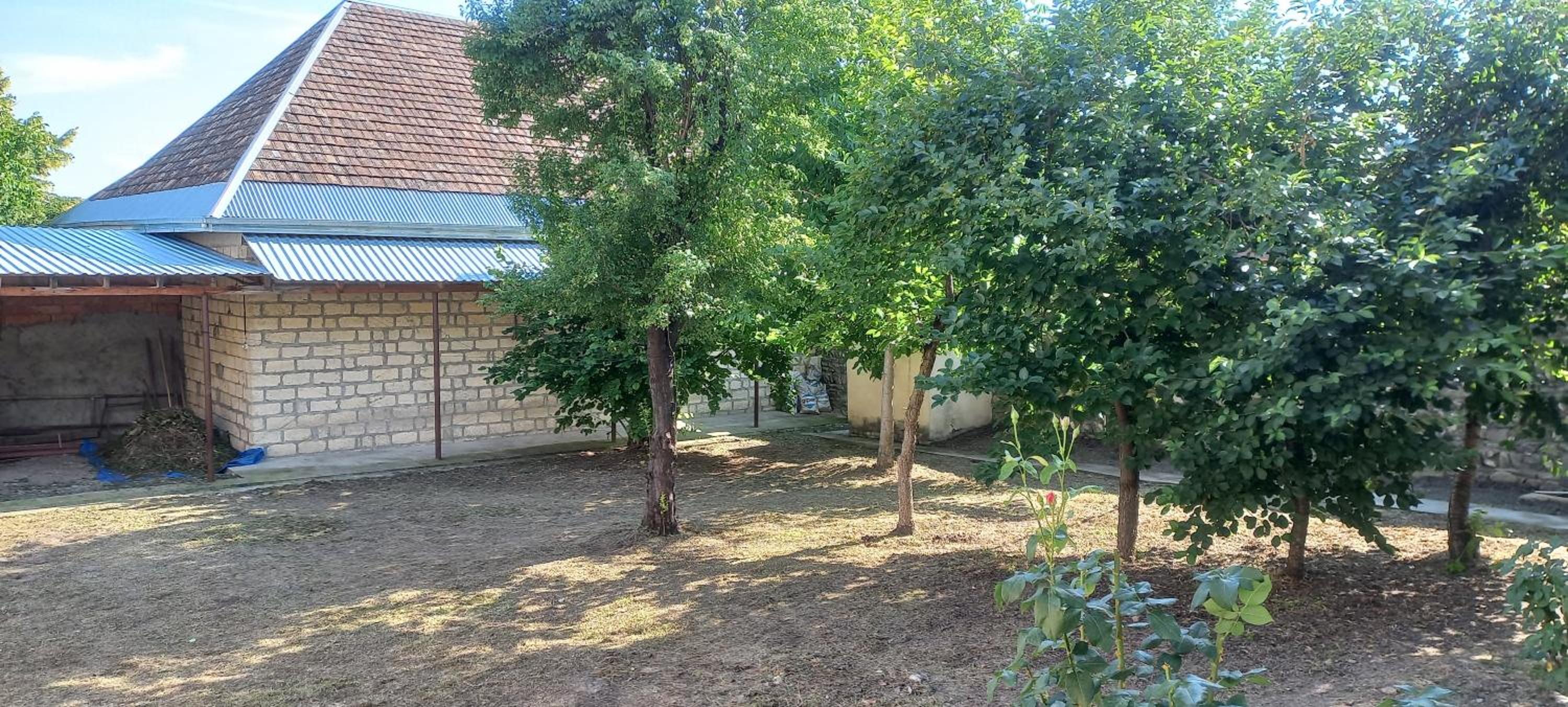 Rovshan's house