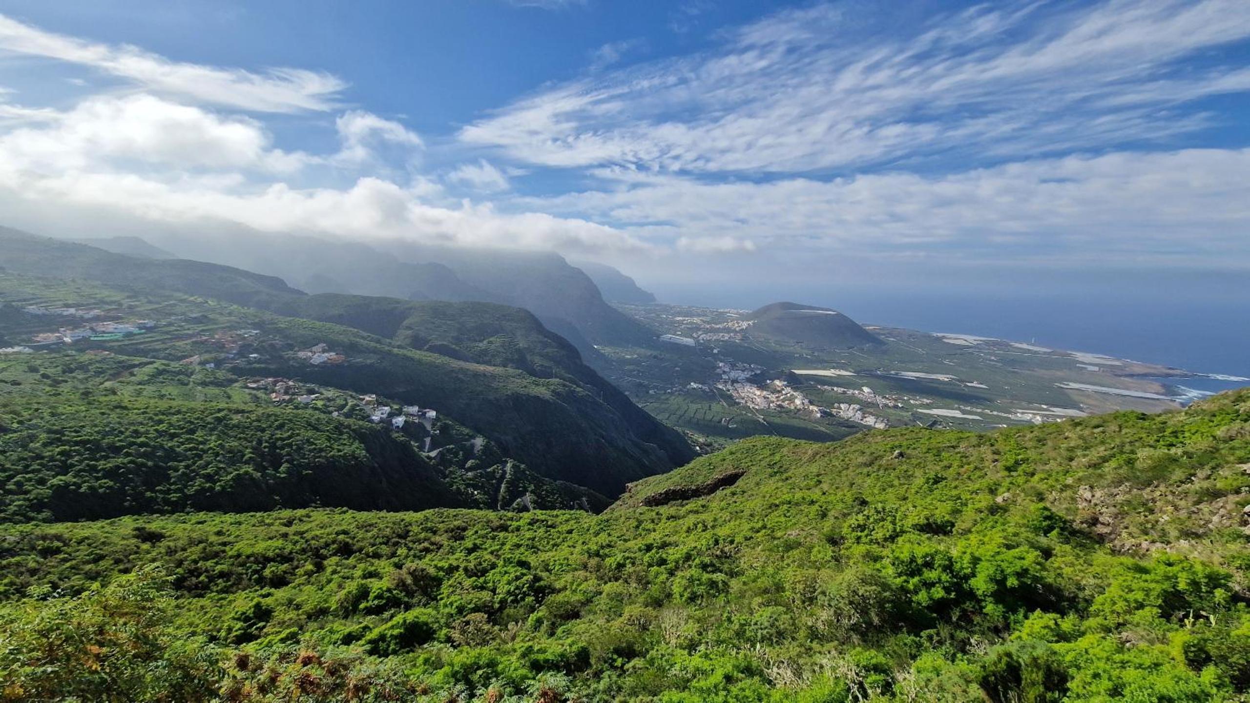 Los viñedos view 3