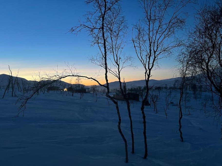 Hytte i Bjørnlia, Skaidi view 3