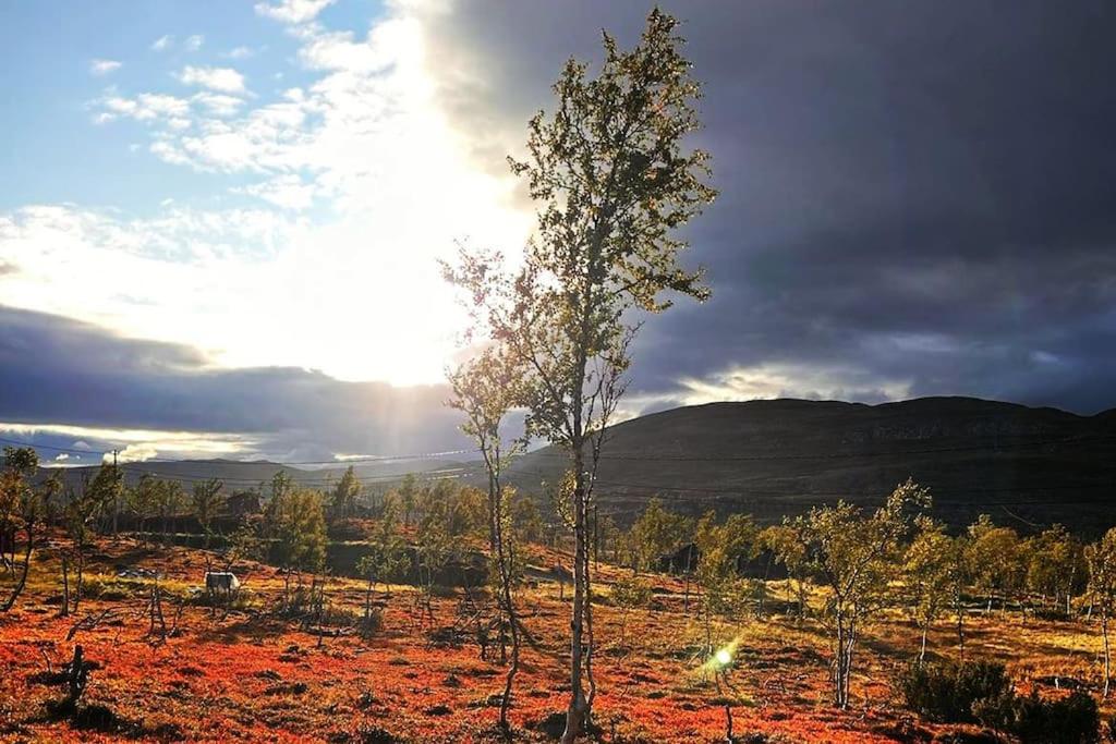 Hytte i Bjørnlia, Skaidi view 4