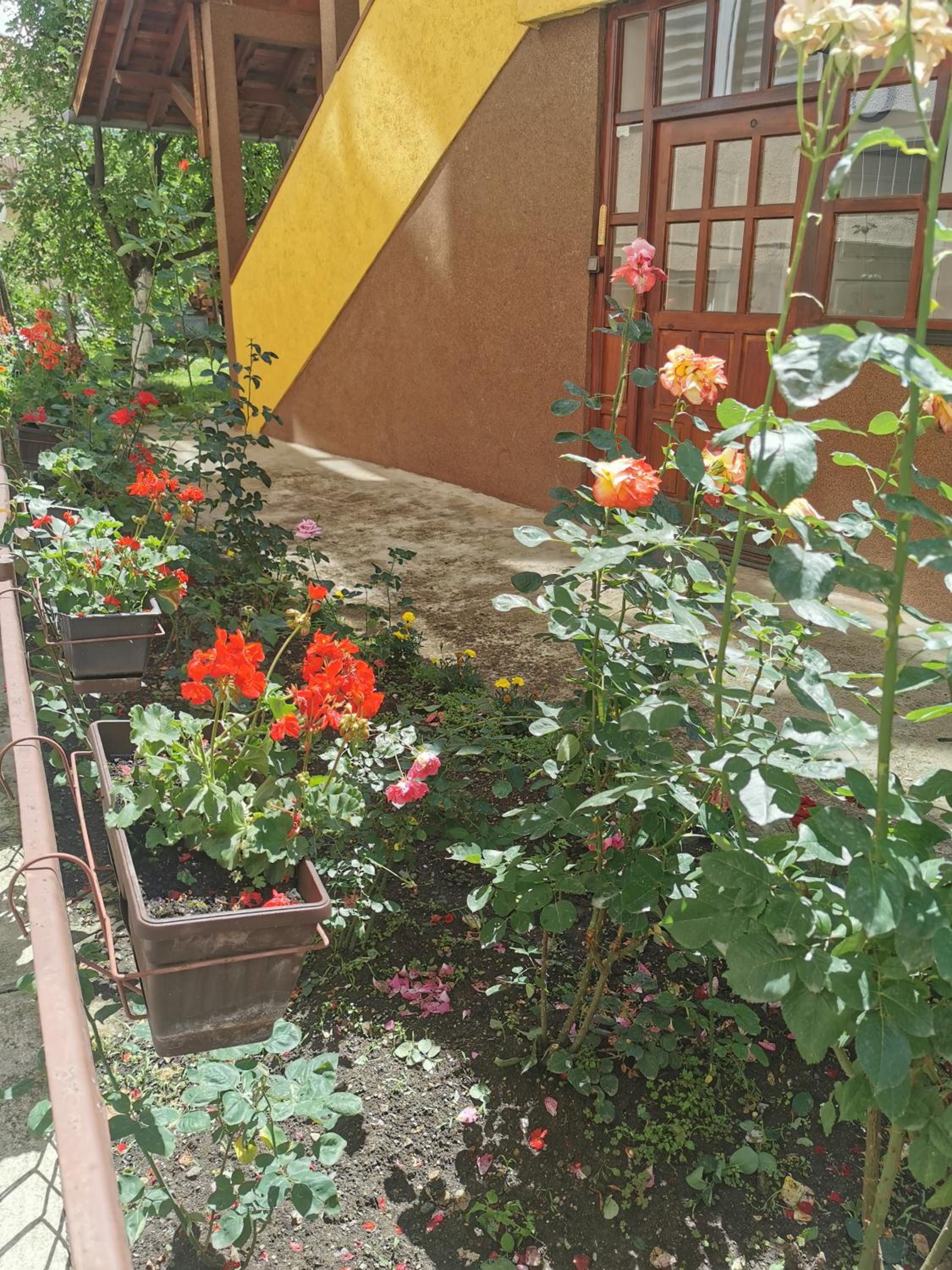 Photo 26