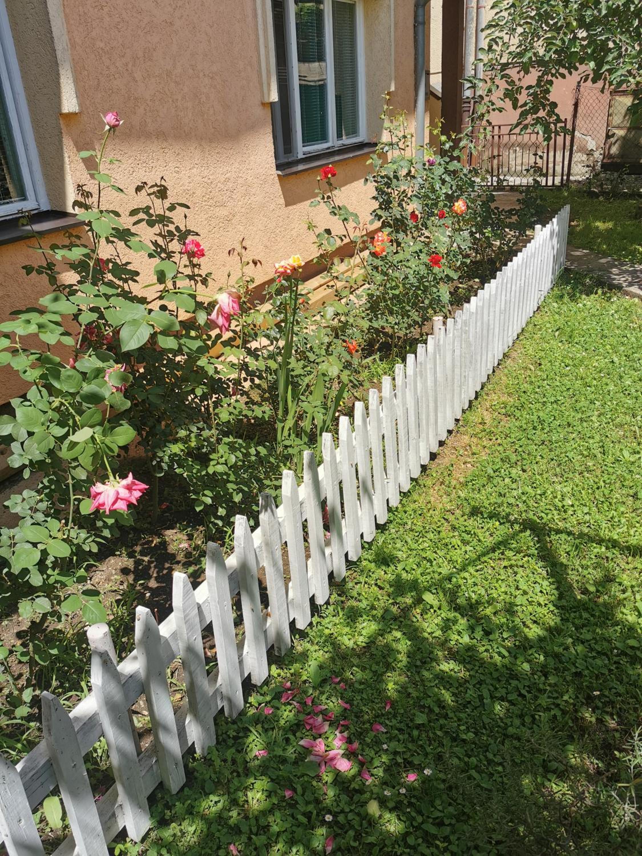 Photo 28