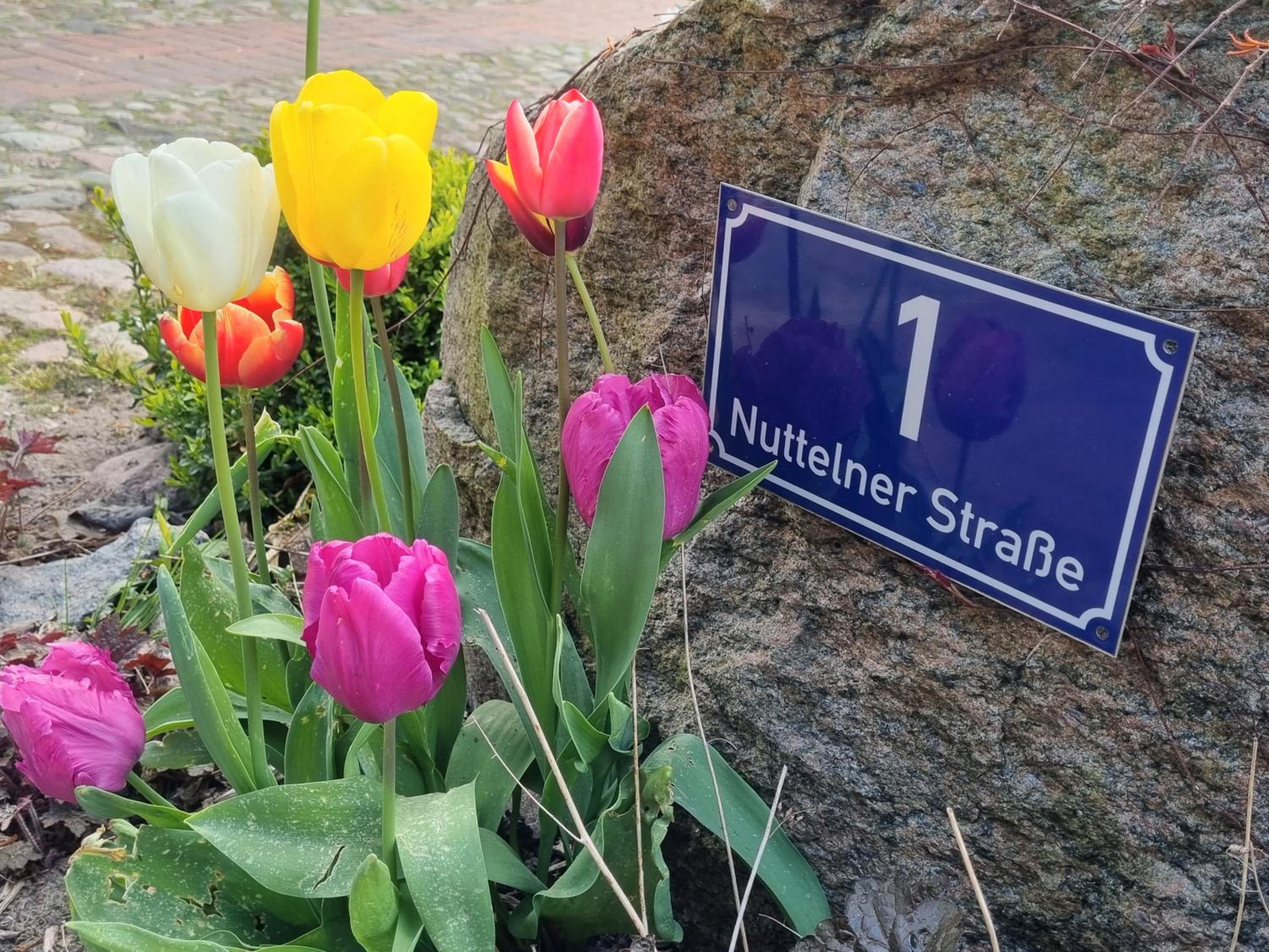 Ferienhof von Hammel 4 Zimmer Ferienwohnung