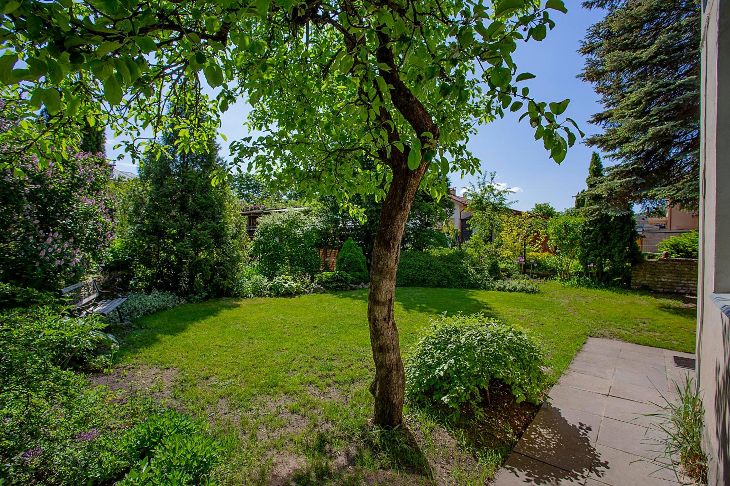 a fairy tale garden in a city view 2