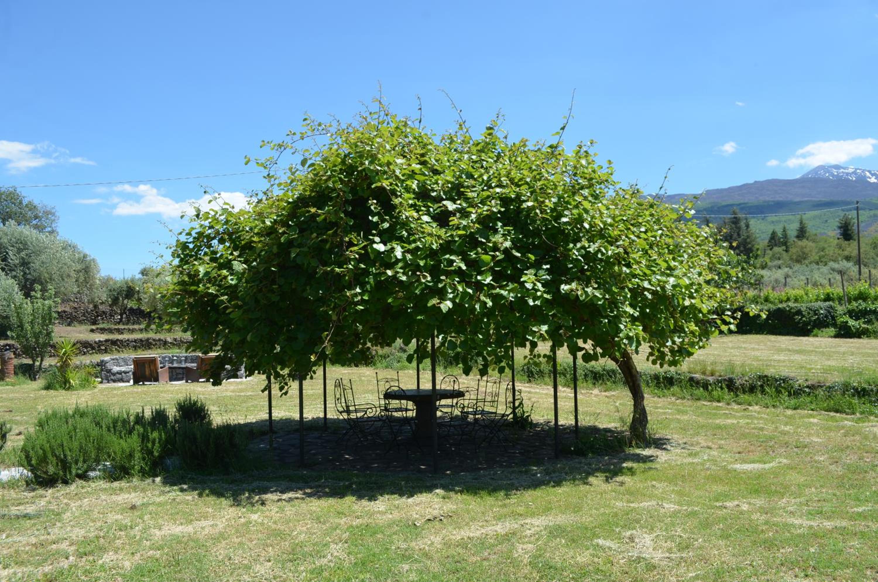 Villa VEDA