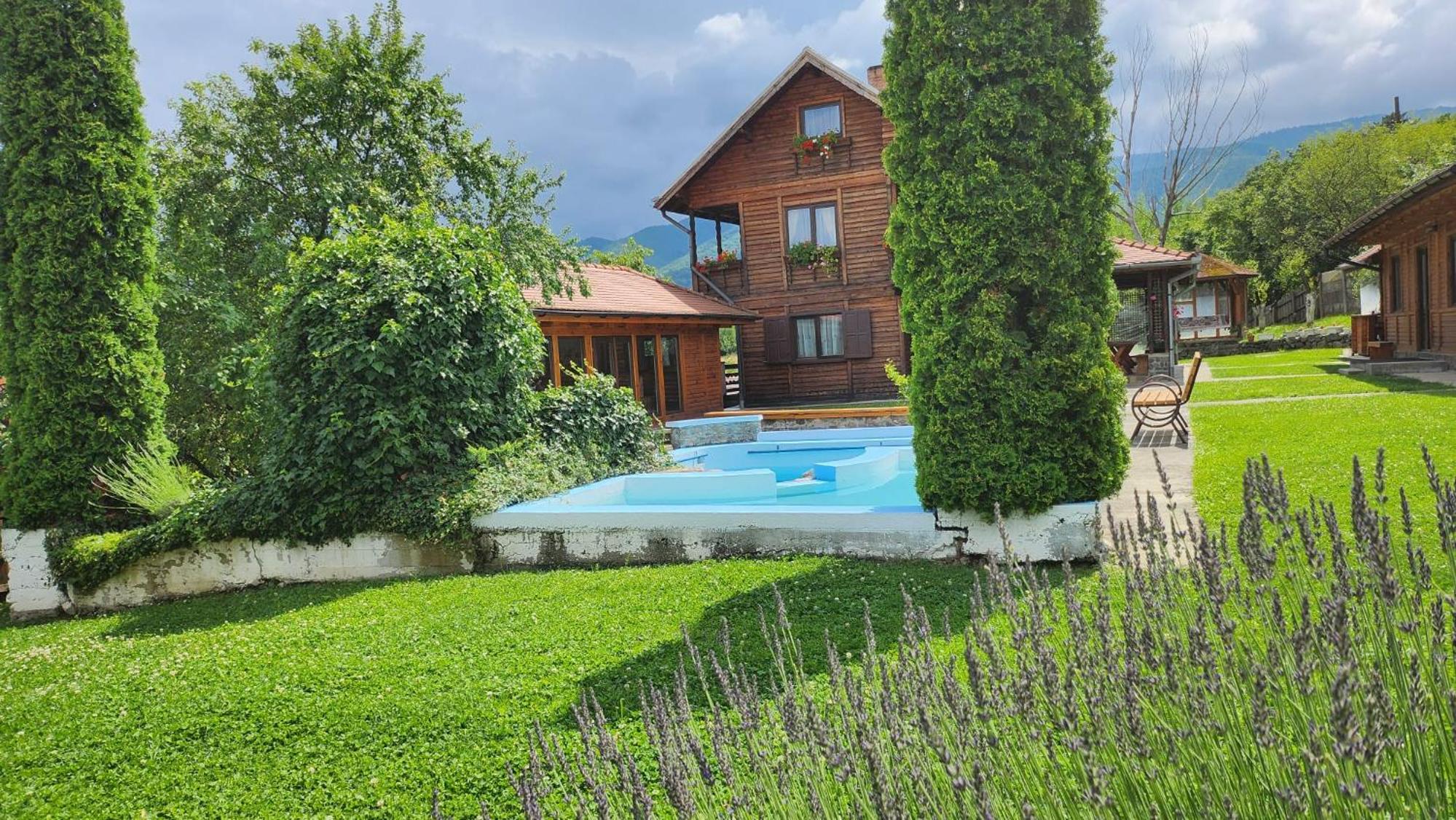 Casa Amalia Tocile -Sadu view 3