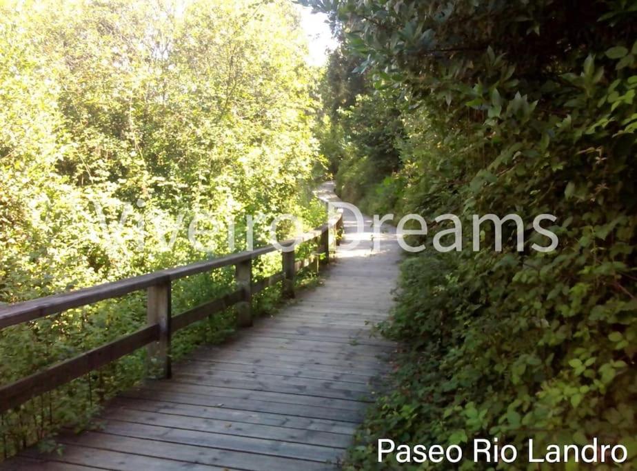 Viveiro Dreams